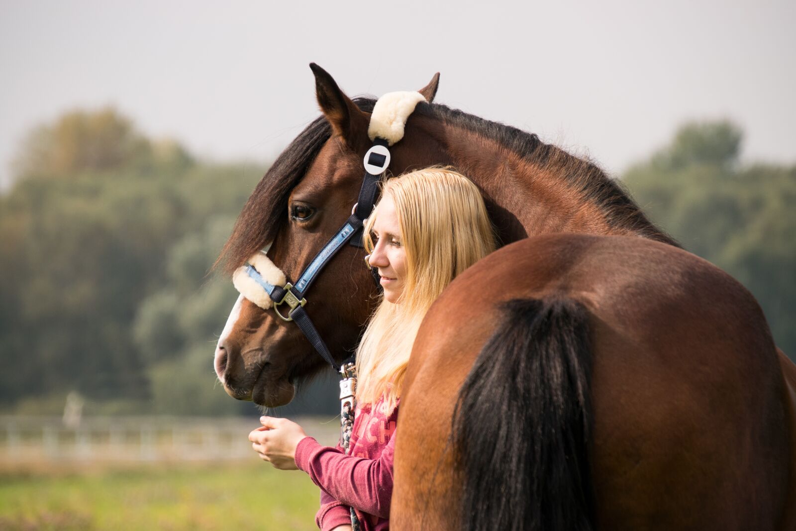 Nikon D3300 sample photo. Horse, human, woman photography