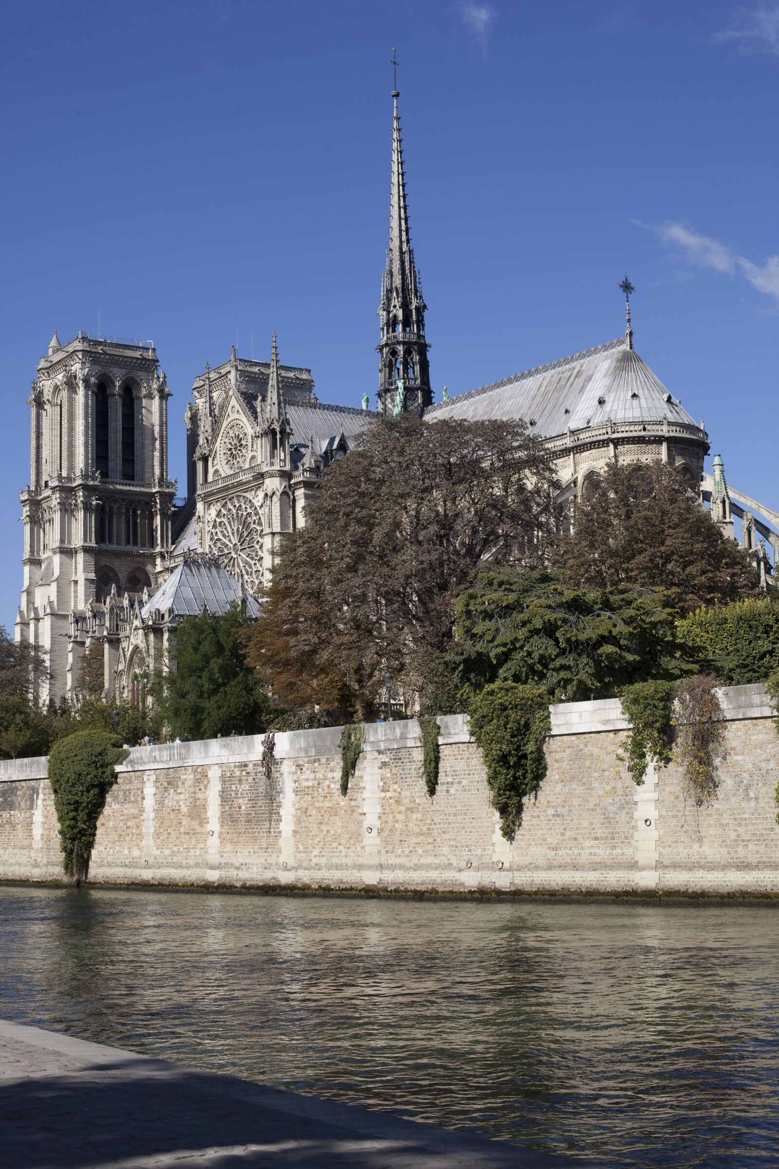 Canon EOS 5D Mark II sample photo. Notre dame, paris, france photography