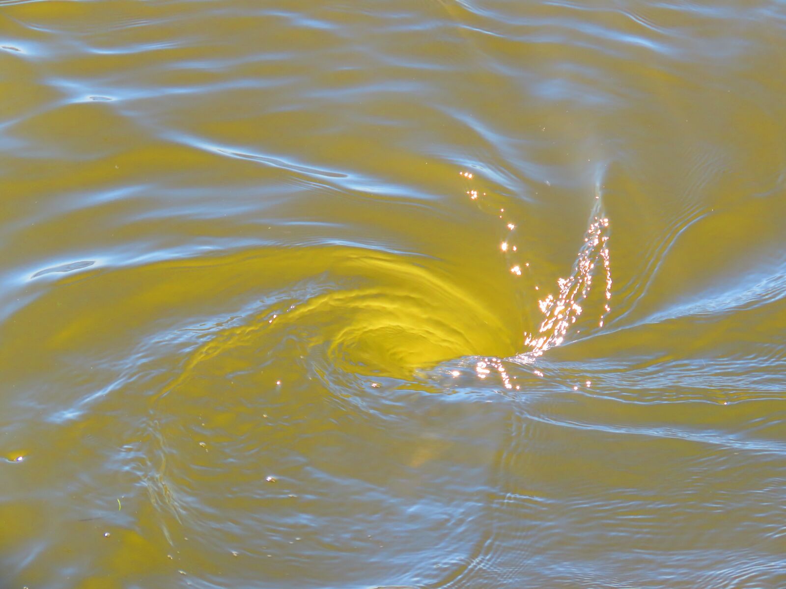 Canon PowerShot SX60 HS sample photo. Whirlpool, water, nature photography