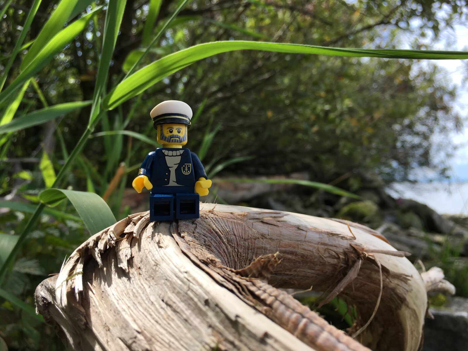 iPhone SE back camera 4.15mm f/2.2 sample photo. Lego, nature, sailor photography