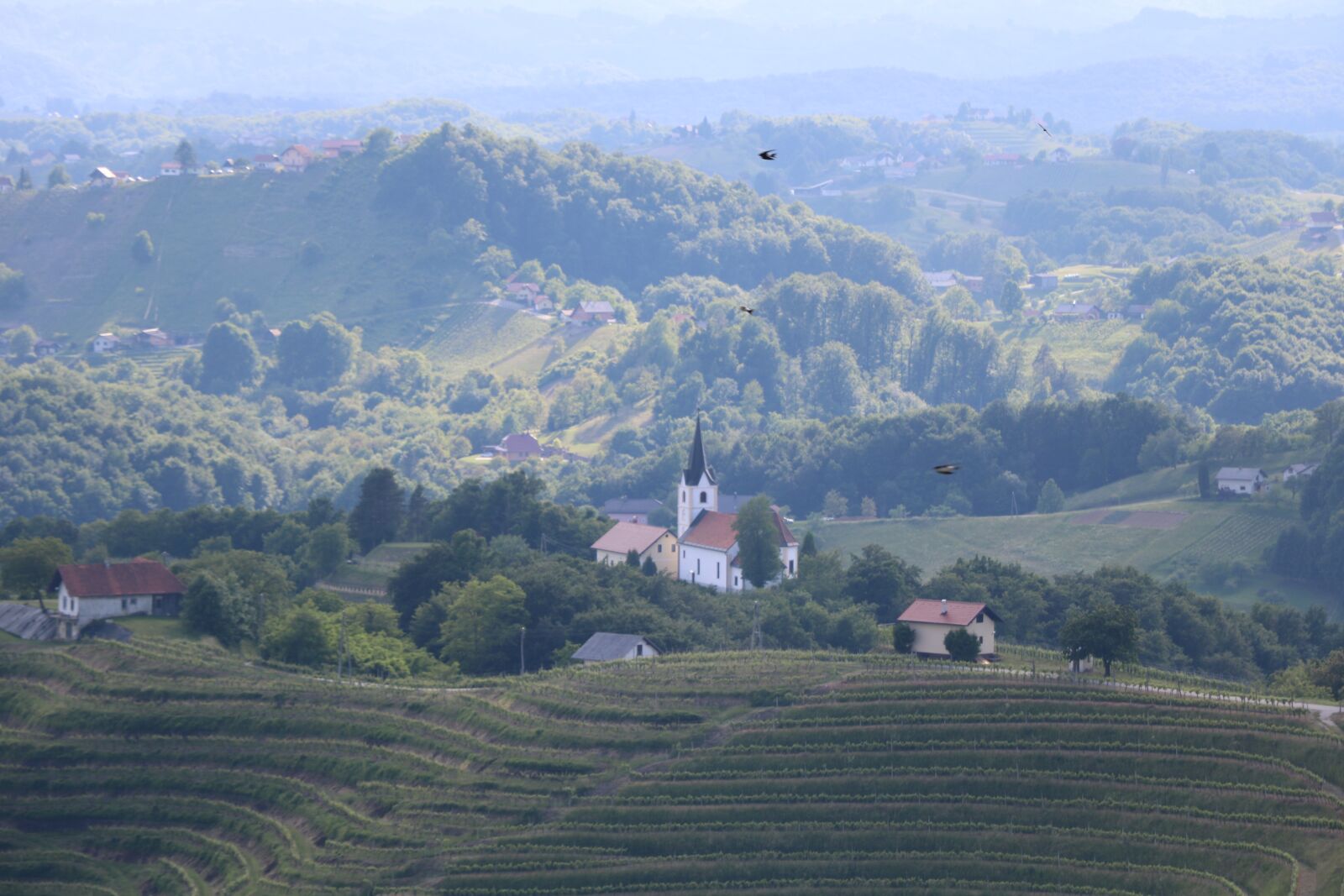 Canon EOS 750D (EOS Rebel T6i / EOS Kiss X8i) sample photo. Church, religion, christianity photography