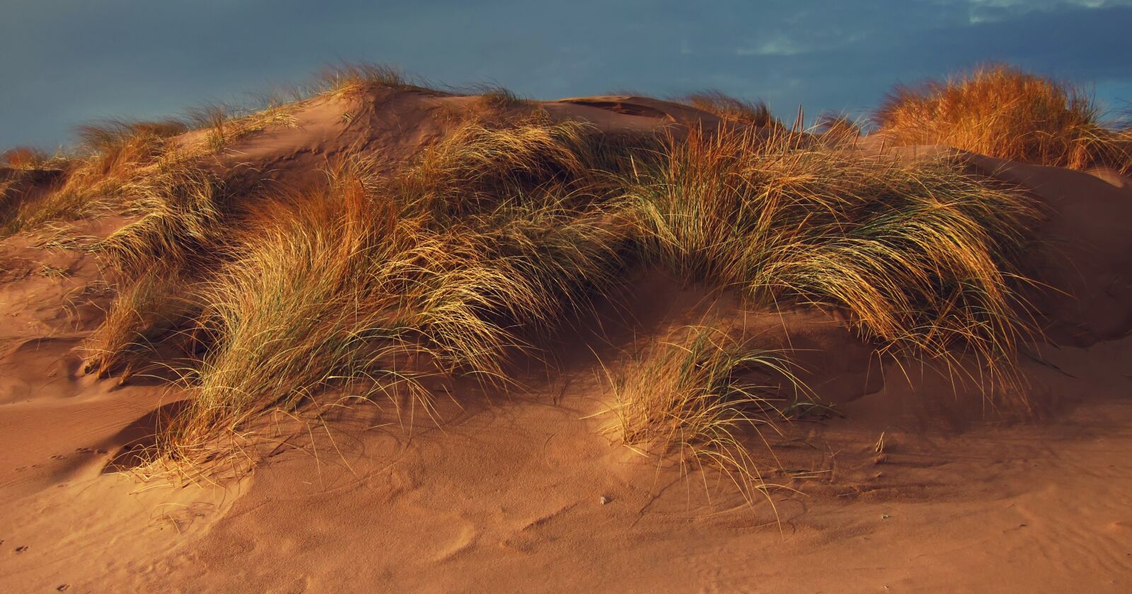Canon PowerShot S90 sample photo. Sand dune, marram grass photography