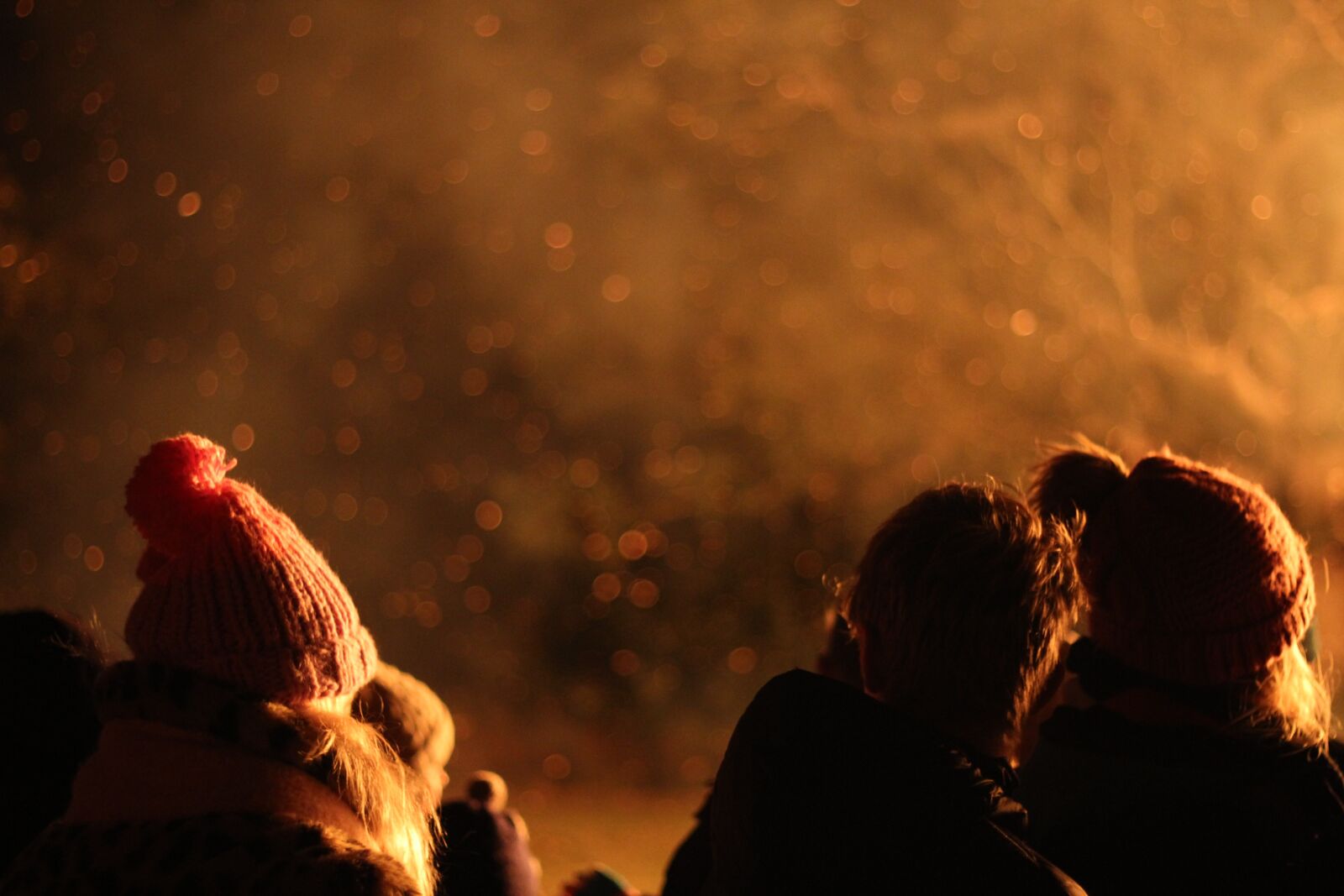 Canon EOS 1200D (EOS Rebel T5 / EOS Kiss X70 / EOS Hi) + Canon EF 50mm F1.8 STM sample photo. Bonfire, smoke, fire photography