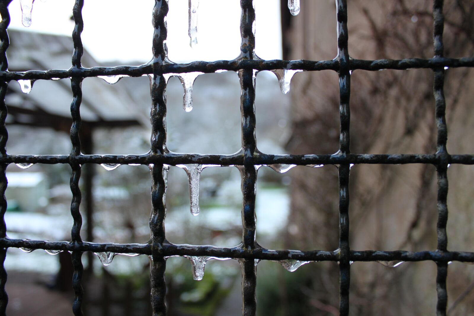 Canon EOS 500D (EOS Rebel T1i / EOS Kiss X3) sample photo. Fence, iron, iron gates photography