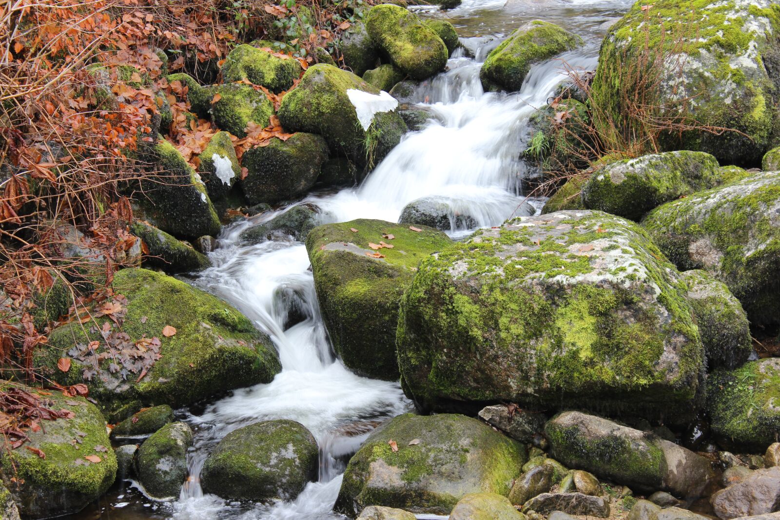 Canon EOS 600D (Rebel EOS T3i / EOS Kiss X5) sample photo. Black forest, germany, triberg photography