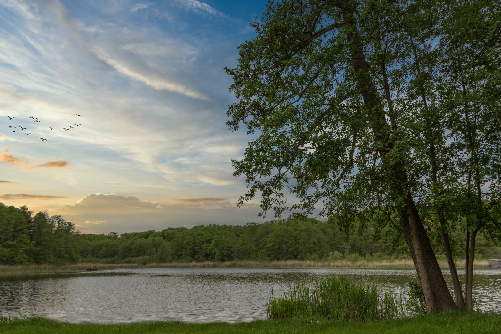 Canon EF-S 18-135mm F3.5-5.6 IS sample photo. Lake, water, angler photography