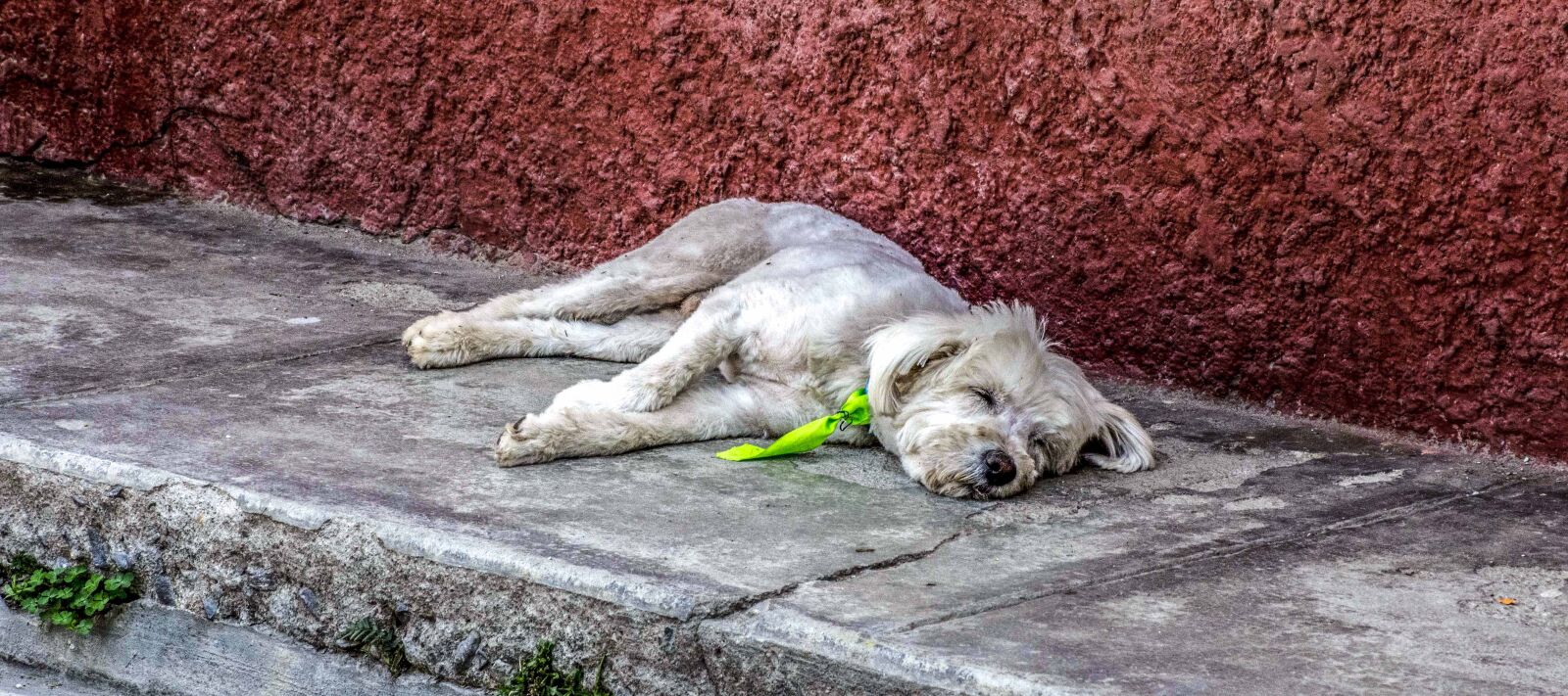 Nikon D7200 sample photo. San jeronimo de surco photography