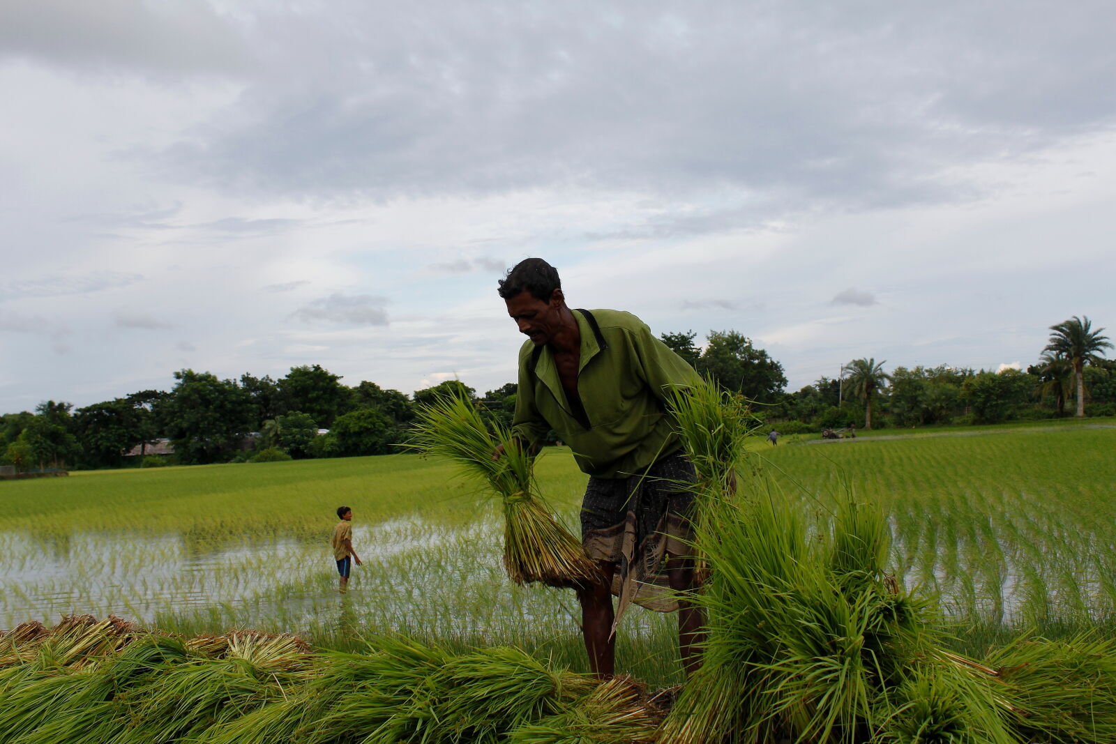 Canon EOS 500D (EOS Rebel T1i / EOS Kiss X3) sample photo. Bangladesh, canal, fisherman, nature photography