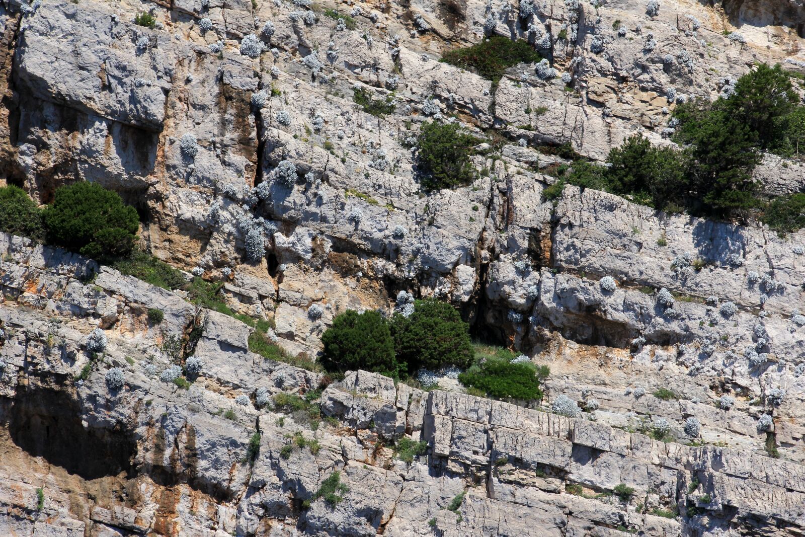 Canon EOS 60D sample photo. Croatia, coast, cliff photography