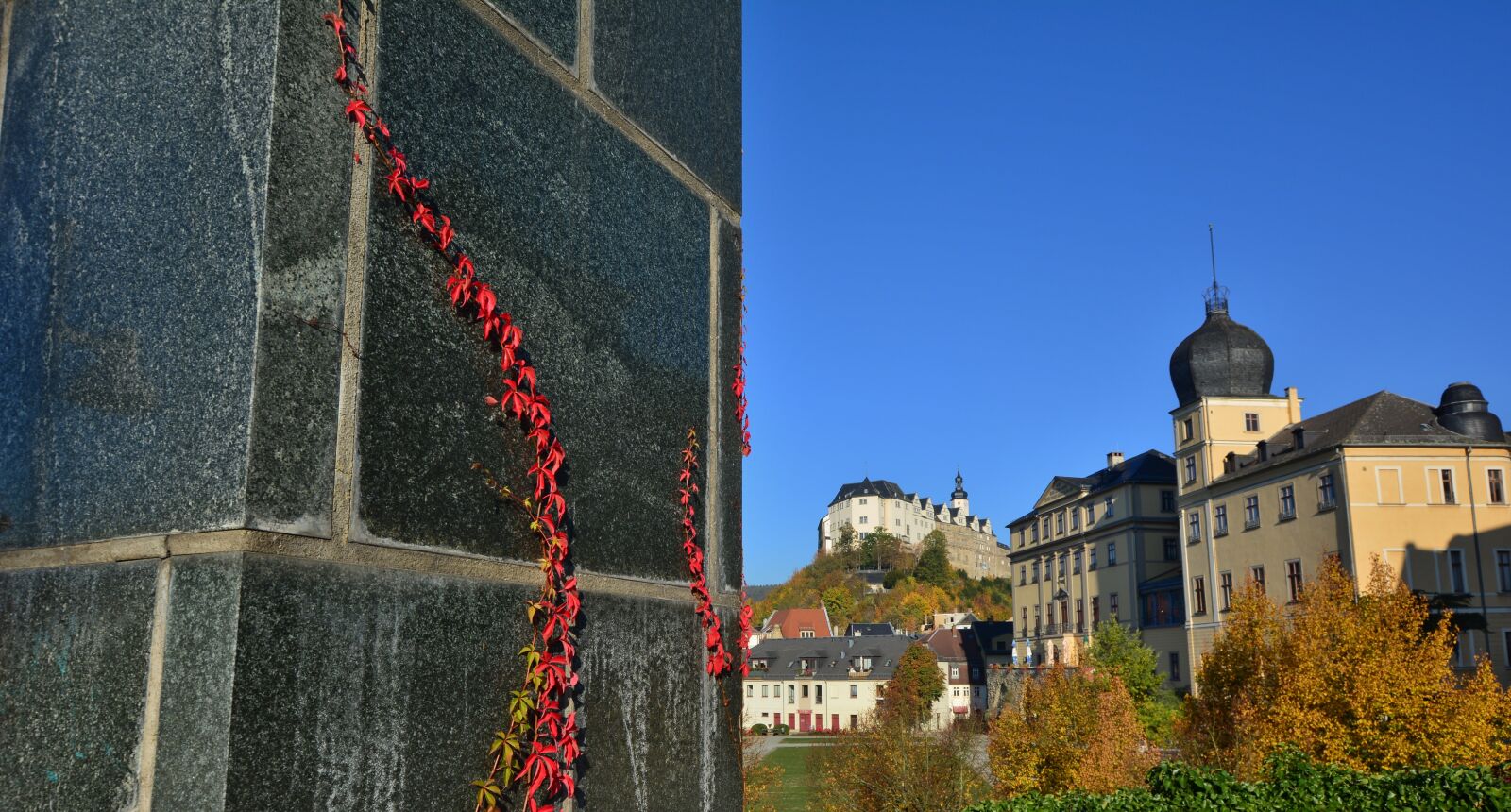 Nikon D5200 sample photo. Autumn, wine partner, wall photography