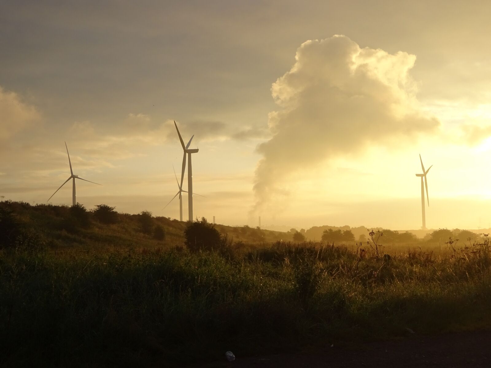 Sony Cyber-shot DSC-WX350 sample photo. Pollution, environment, environmental photography
