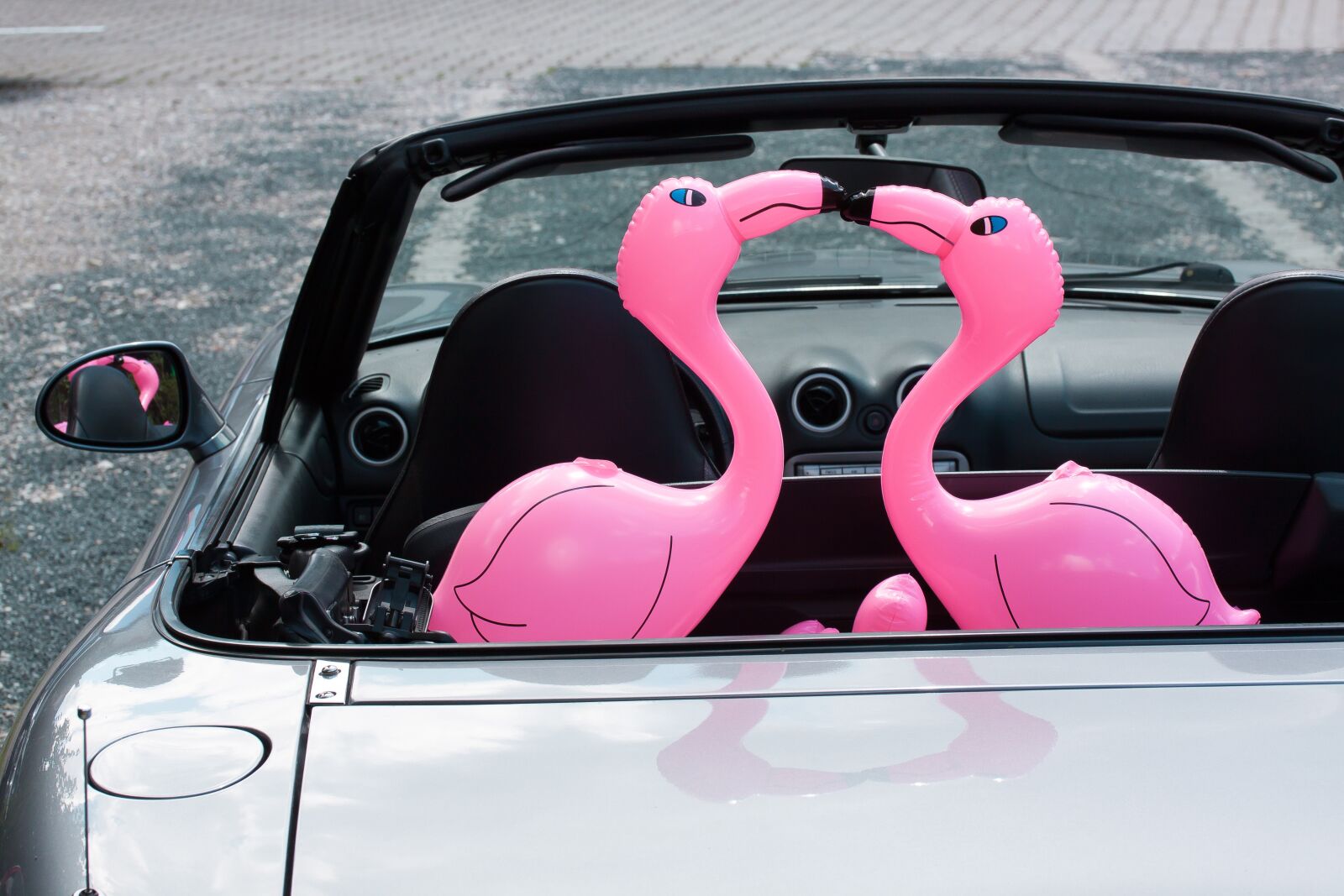 Canon EOS 50D sample photo. Flamingo, inflatable, pink photography