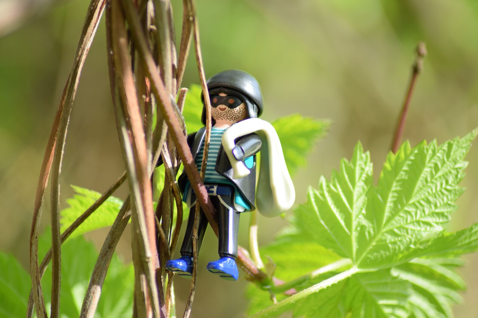 Nikon D5300 sample photo. Burglary, theft, criminal photography