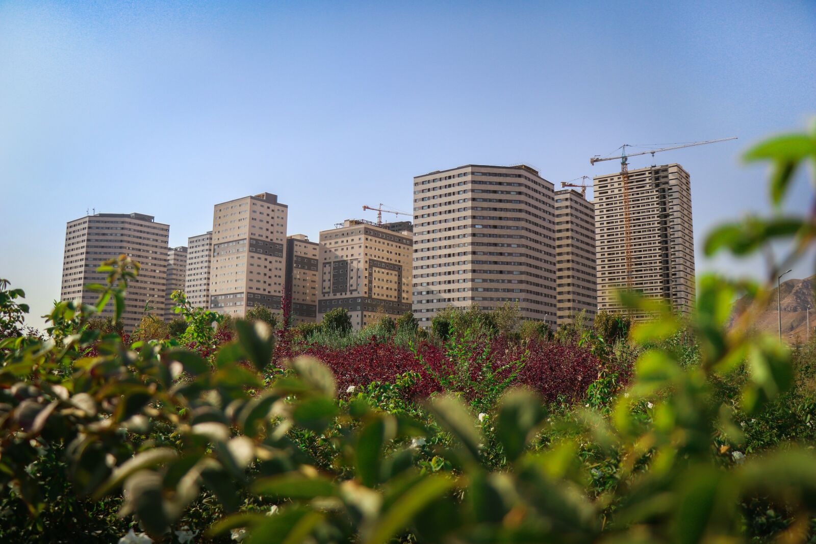 Canon EF-S 18-135mm F3.5-5.6 IS USM sample photo. Building, sky, architecture photography