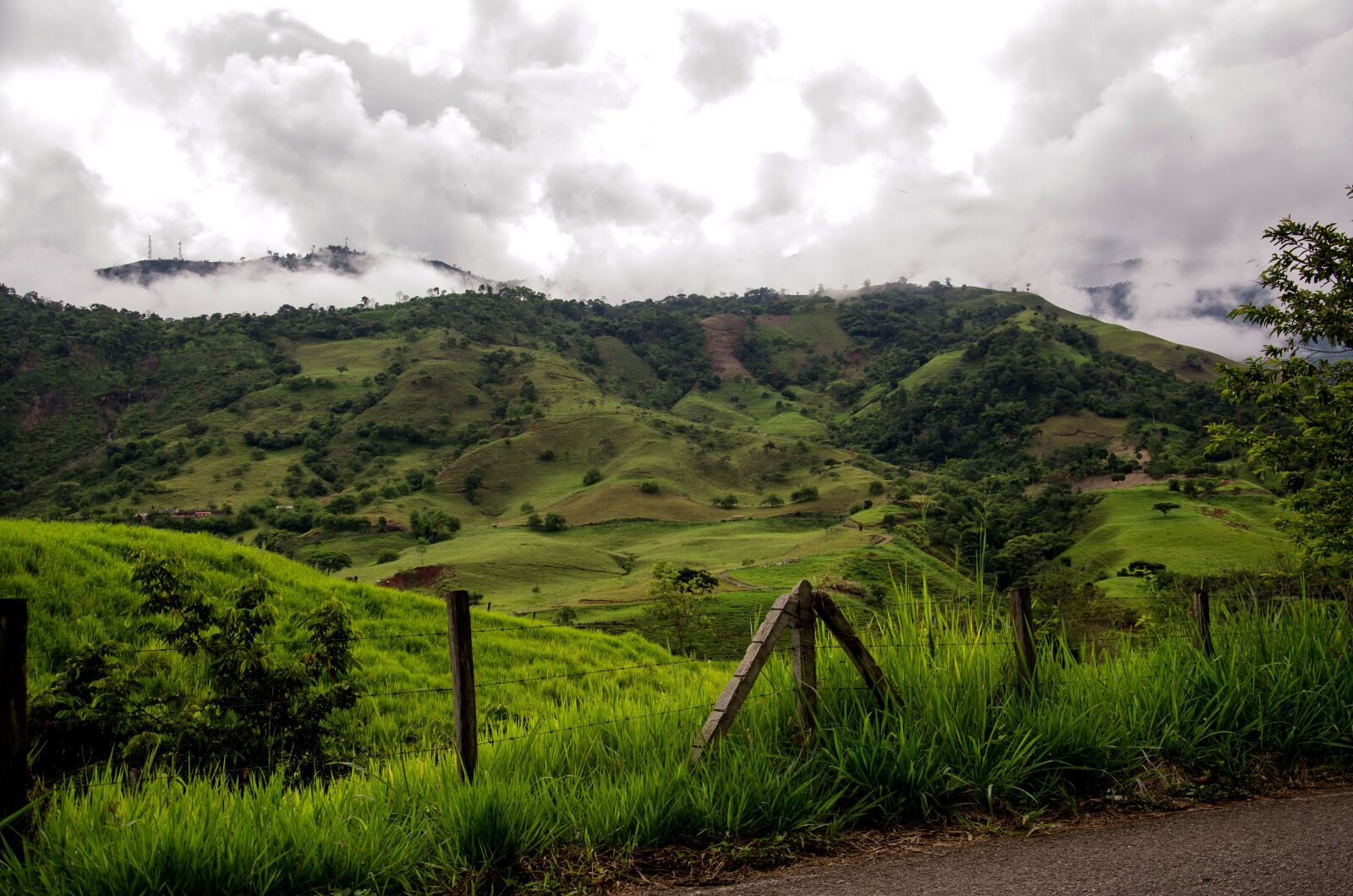 Nikon D5100 sample photo. Colombia, coffee zone, mountains photography