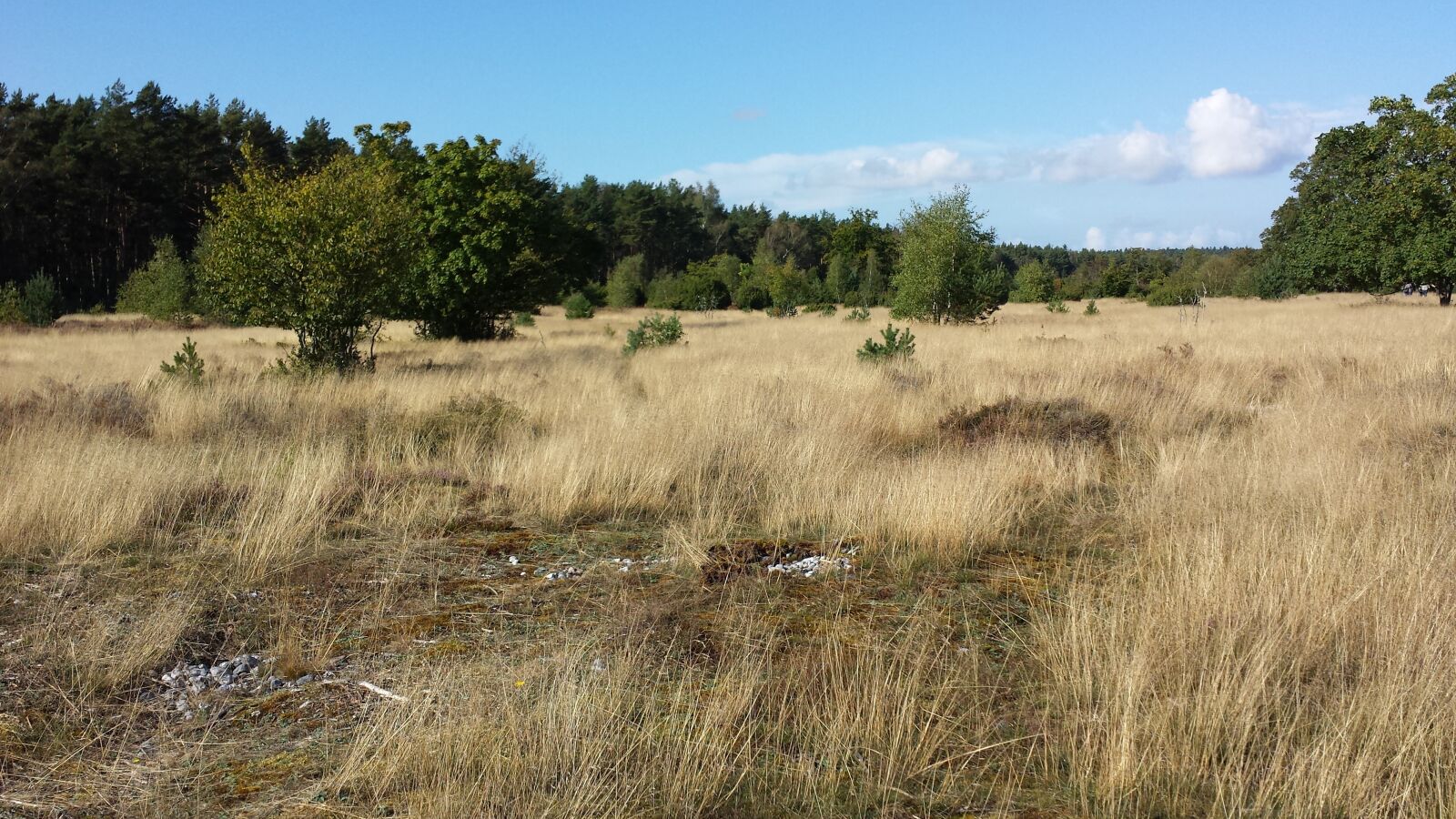 Samsung Galaxy S4 sample photo. Fire stone fields, r photography