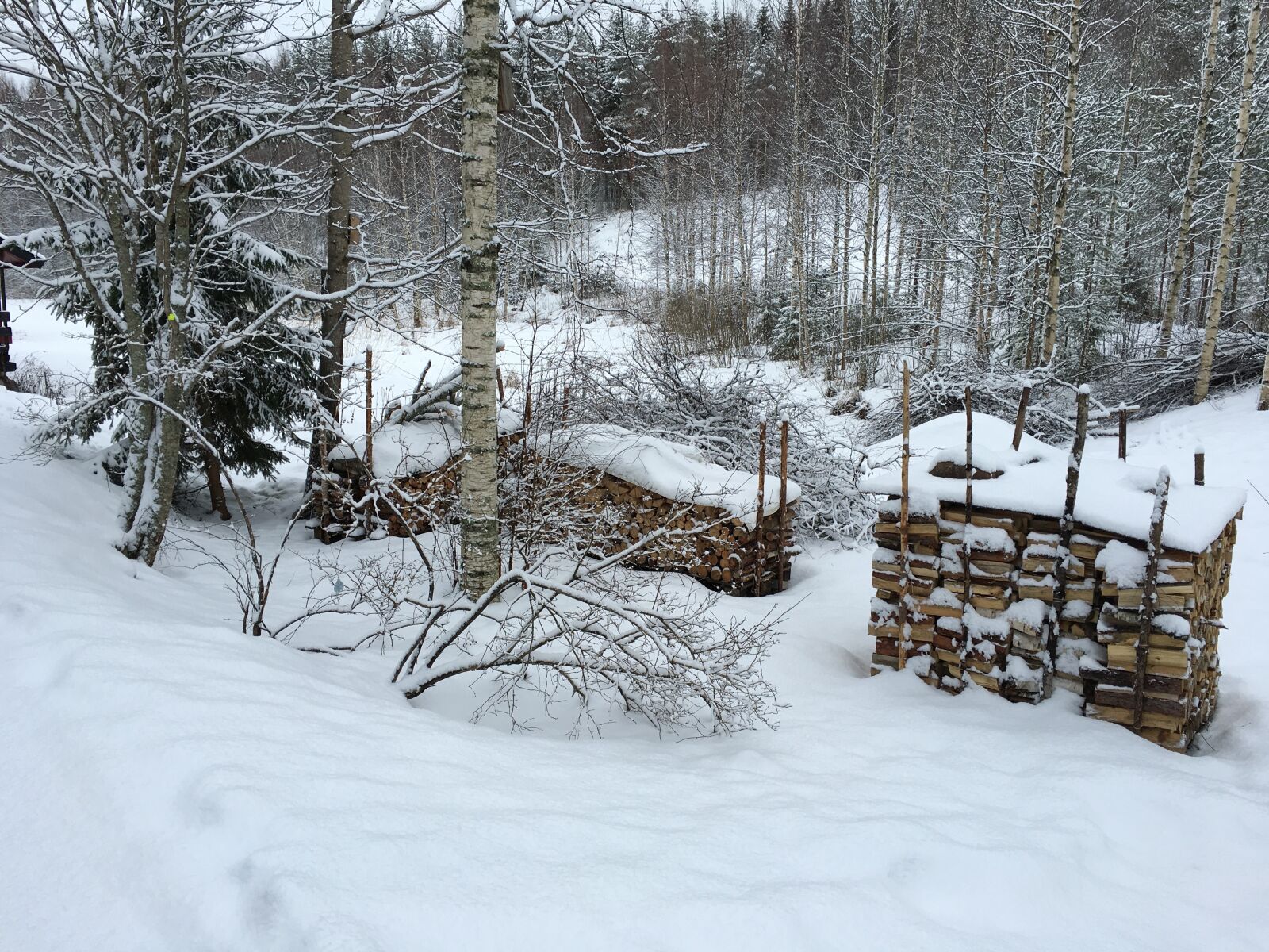 Apple iPhone 6s sample photo. Winter, woodpile, frost photography