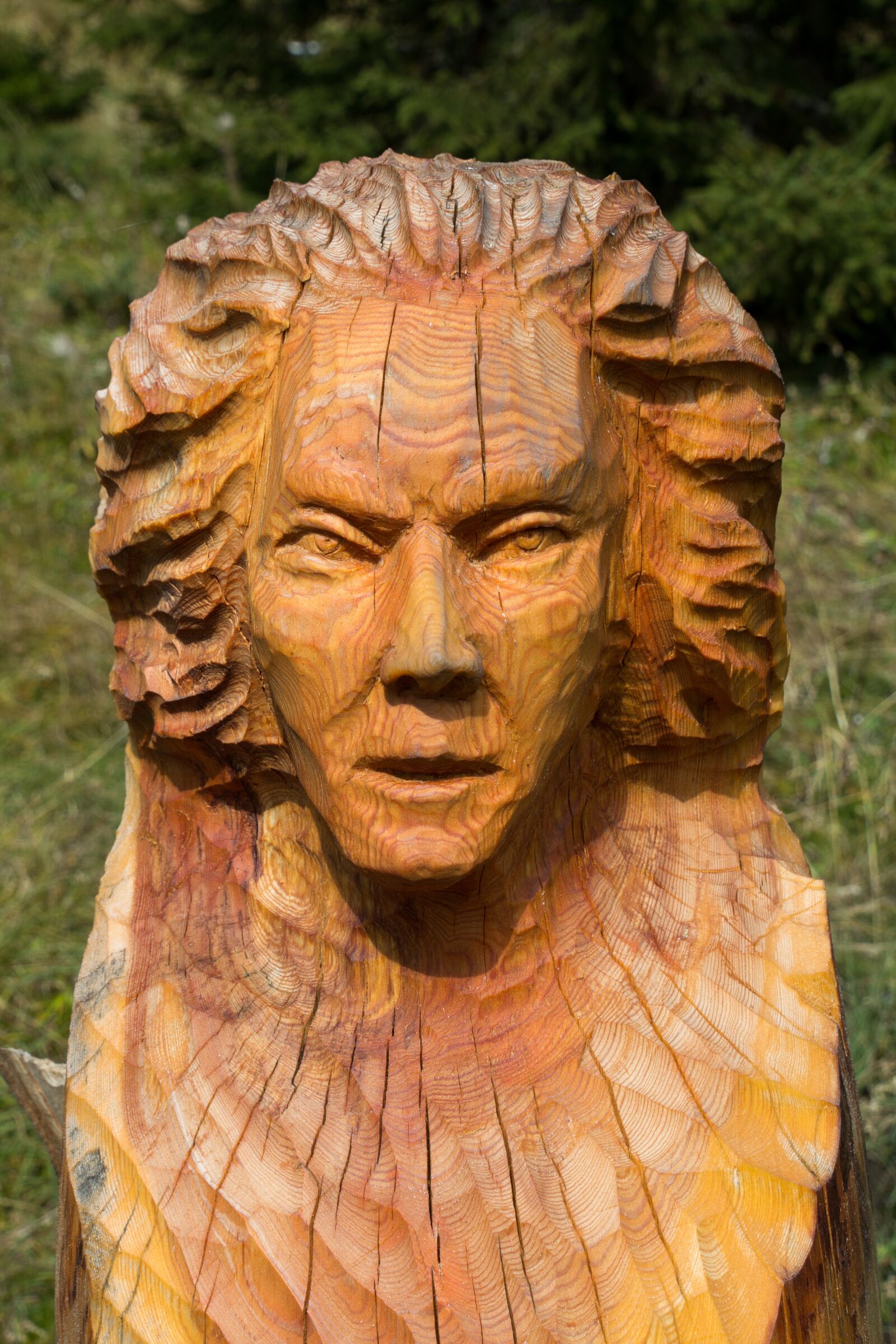 Canon EOS 60D sample photo. Sculpture, wood photography
