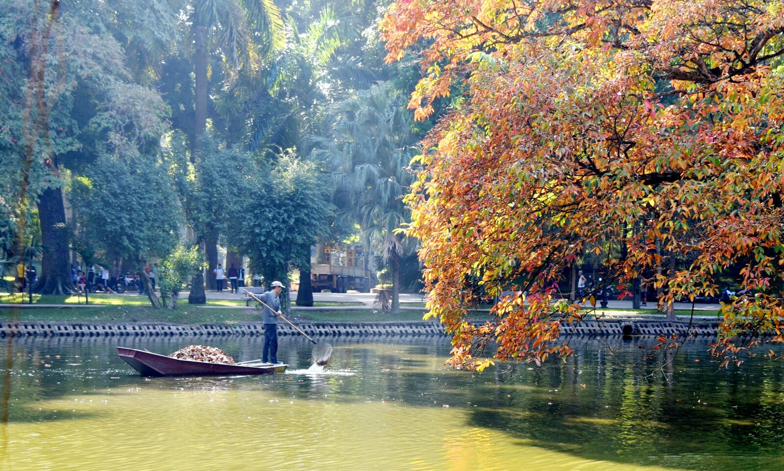 Nikon D7200 sample photo. Yellow leaf, botanical park photography