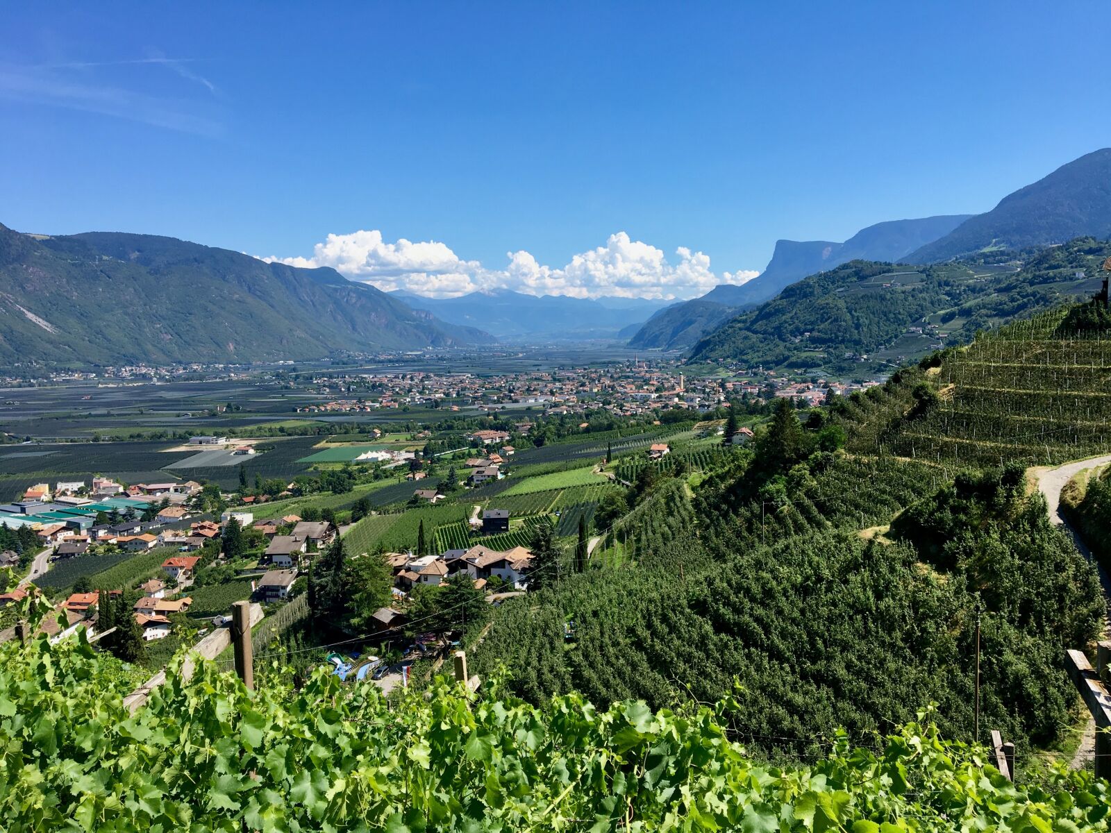 Apple iPhone 6s sample photo. South tyrol, panorama, meran photography
