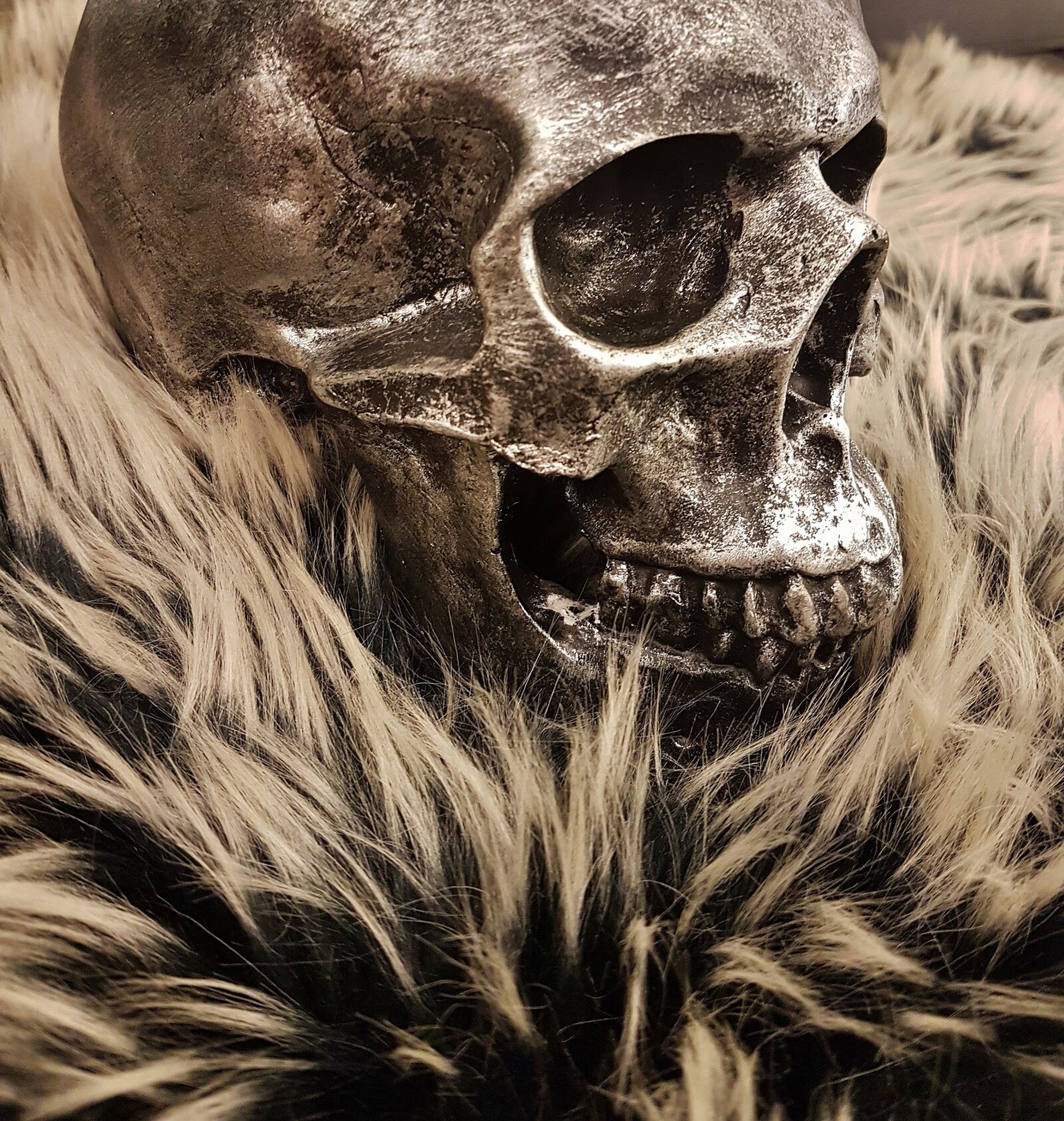 Samsung Galaxy S7 Edge sample photo. Skull, head, face photography