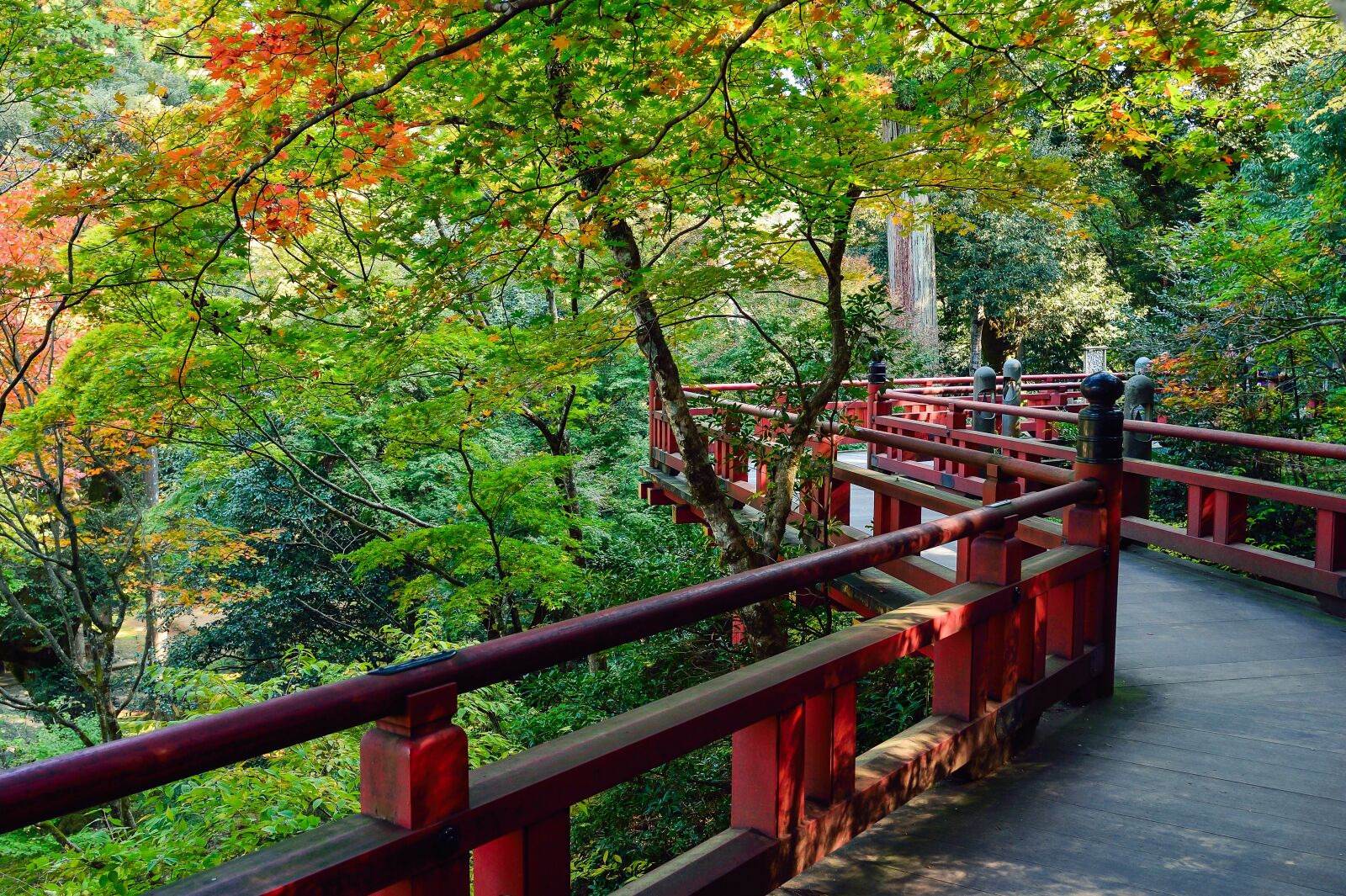 Nikon Df sample photo. Japan, landscape, natural photography