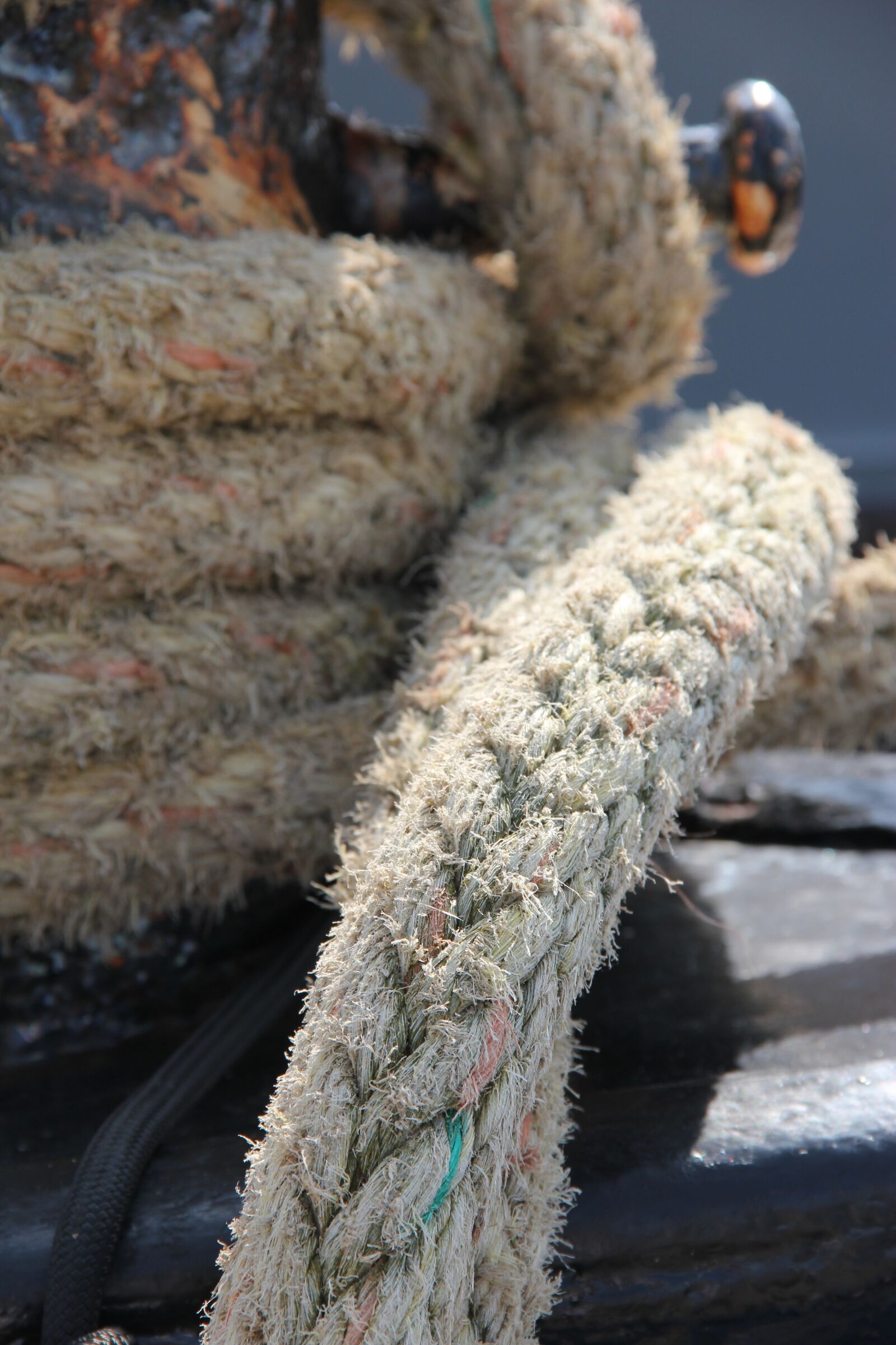 Canon EOS 550D (EOS Rebel T2i / EOS Kiss X4) sample photo. The netherlands, texel, oudeschildt photography
