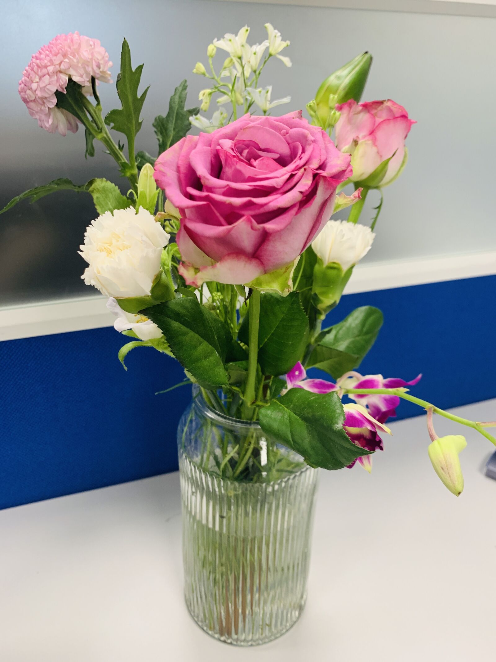 Apple iPhone XR sample photo. Flowers, office, desk photography