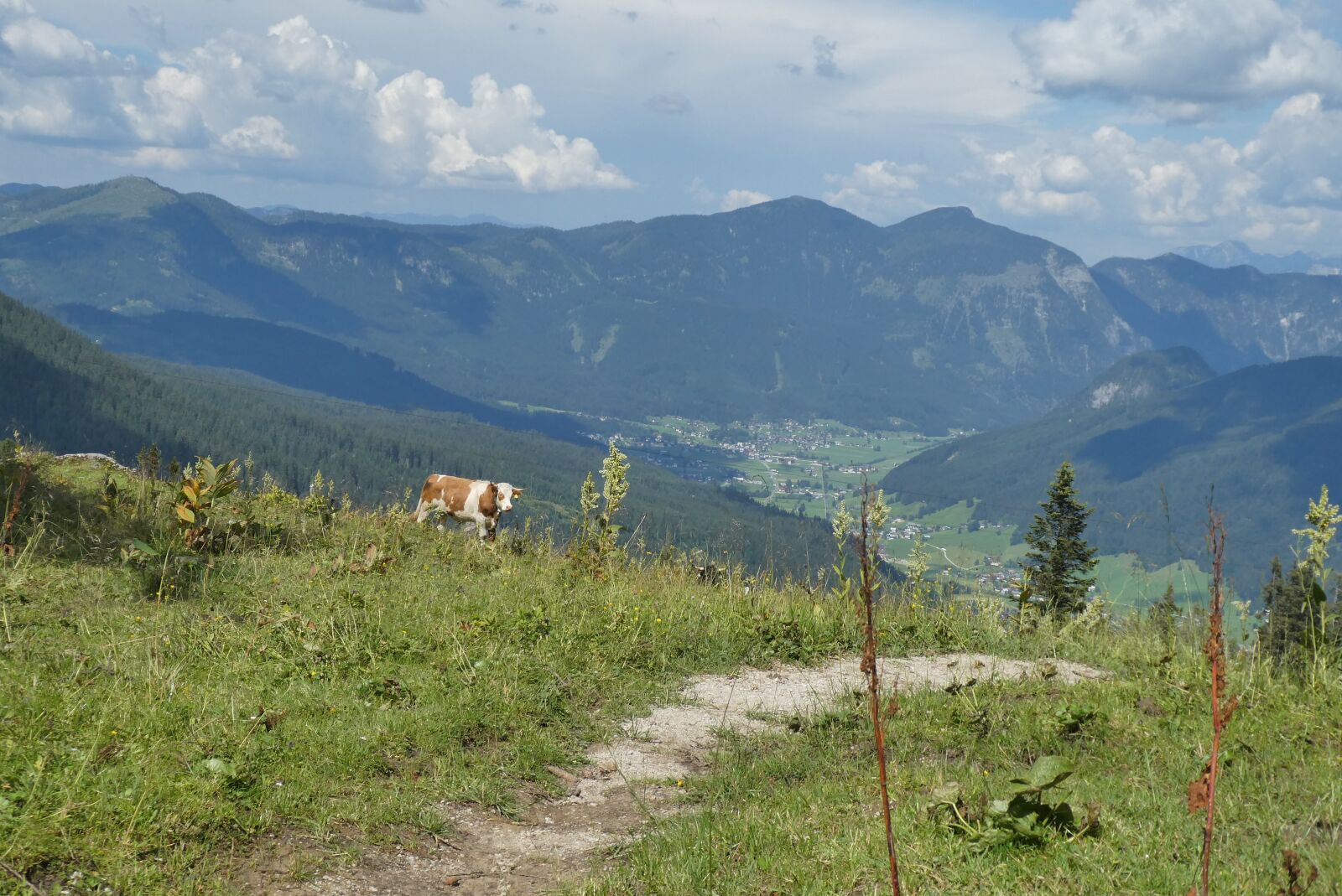 Panasonic Lumix DC-ZS70 (Lumix DC-TZ90) sample photo. Zwieselalm, mountains, austria photography