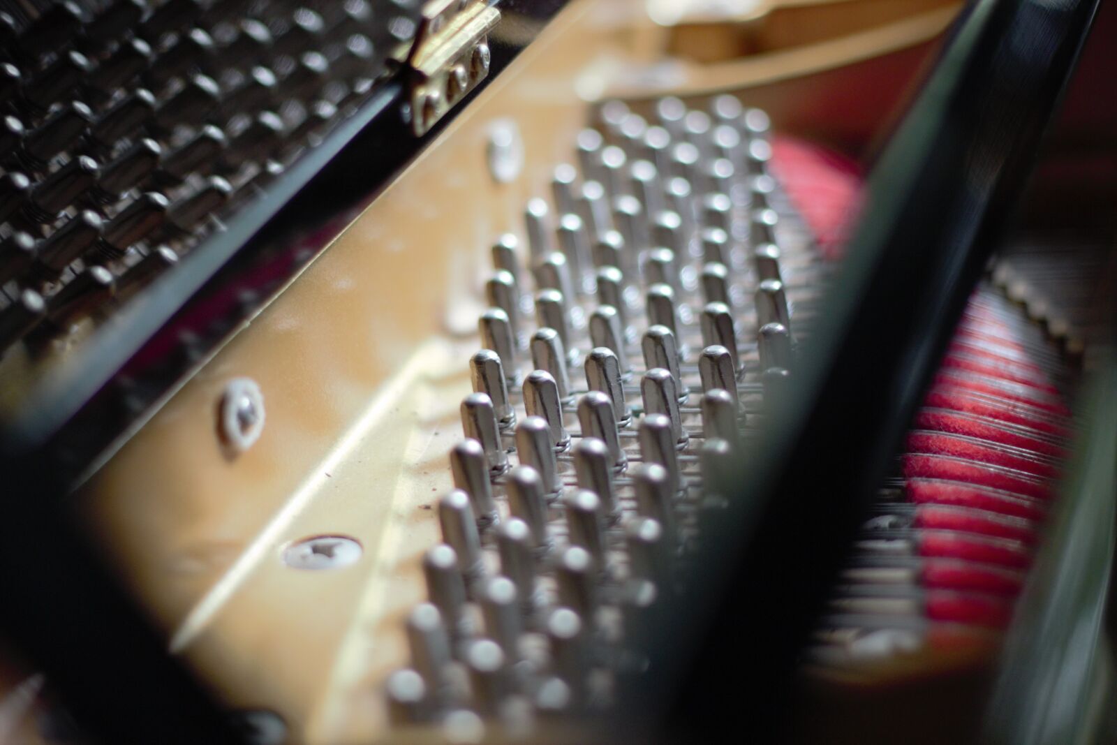 Canon EOS 600D (Rebel EOS T3i / EOS Kiss X5) sample photo. Piano, music, instrument photography