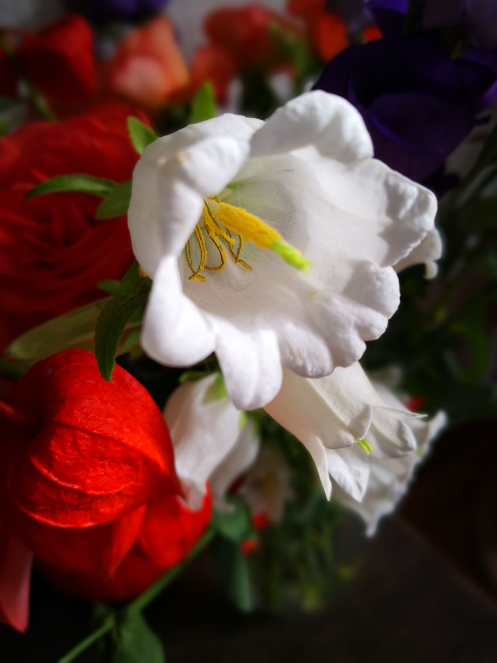 HUAWEI Mate 10 Pro sample photo. Flowers, nice, fauna photography