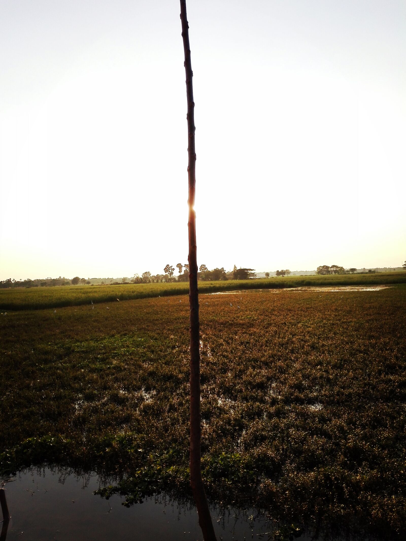 HUAWEI Y6II sample photo. Open, field, sunset, village photography