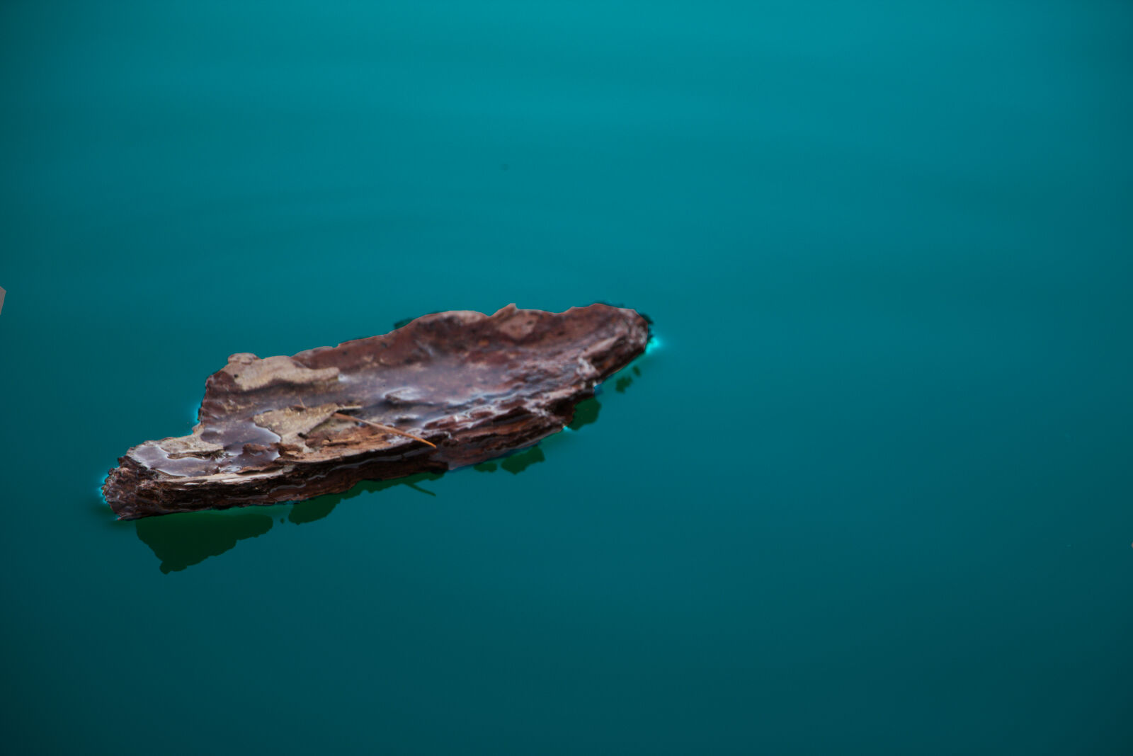 Canon EOS 760D (EOS Rebel T6s / EOS 8000D) + Canon EF-S 18-135mm F3.5-5.6 IS STM sample photo. Water, blue, bark, float photography