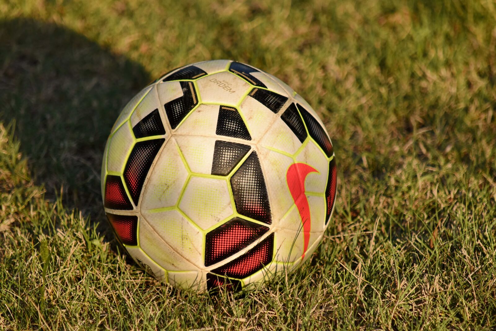 Nikon D5500 sample photo. Ball, game, soccer ball photography