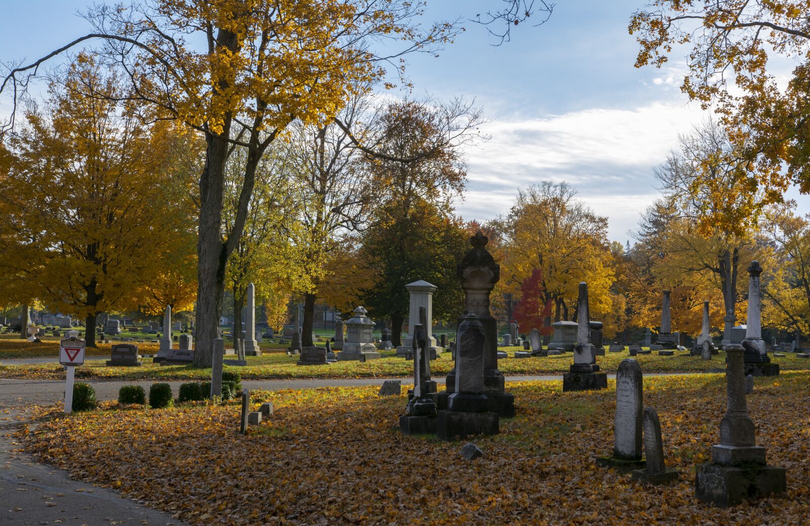 Nikon D7100 sample photo. Cemetery, graveyard, spooky photography