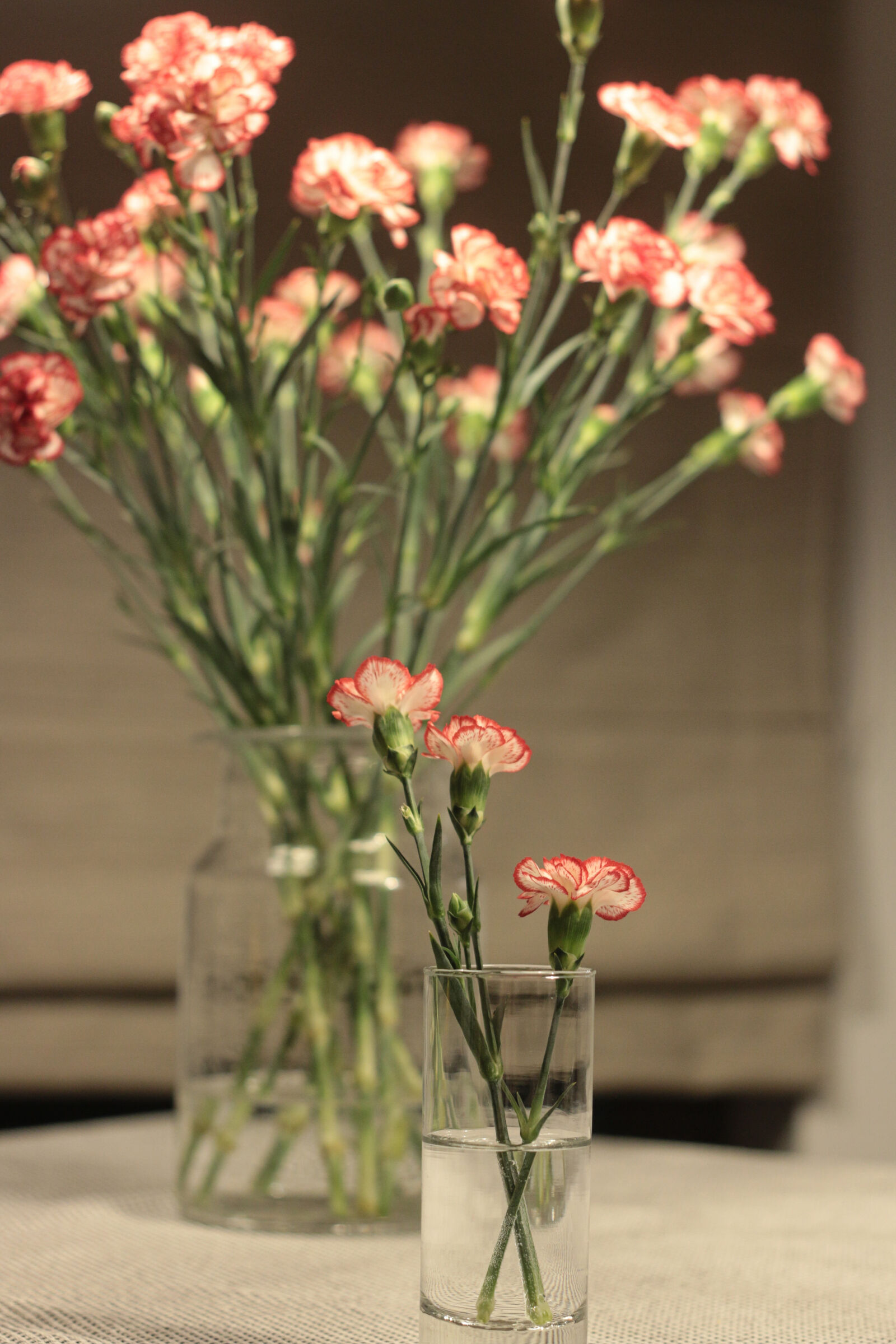Canon EOS 70D + Canon EF 50mm F1.8 II sample photo. Flowers, spring photography