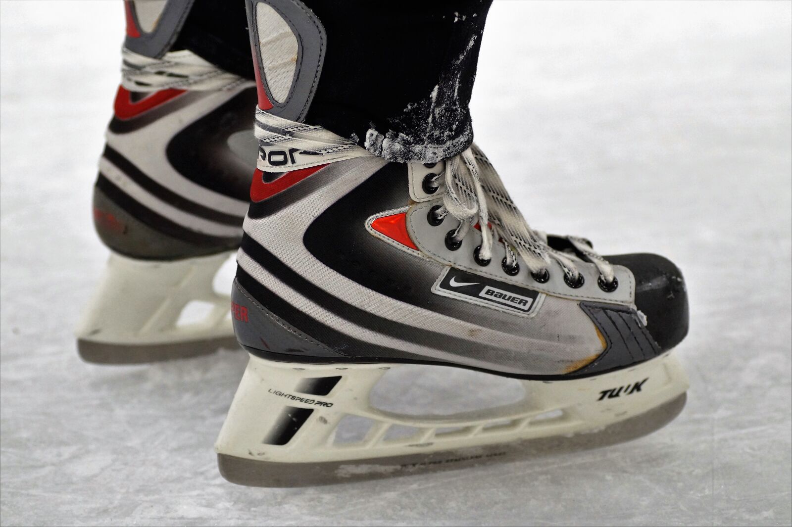 Sony SLT-A58 sample photo. Skates, polar area, the photography
