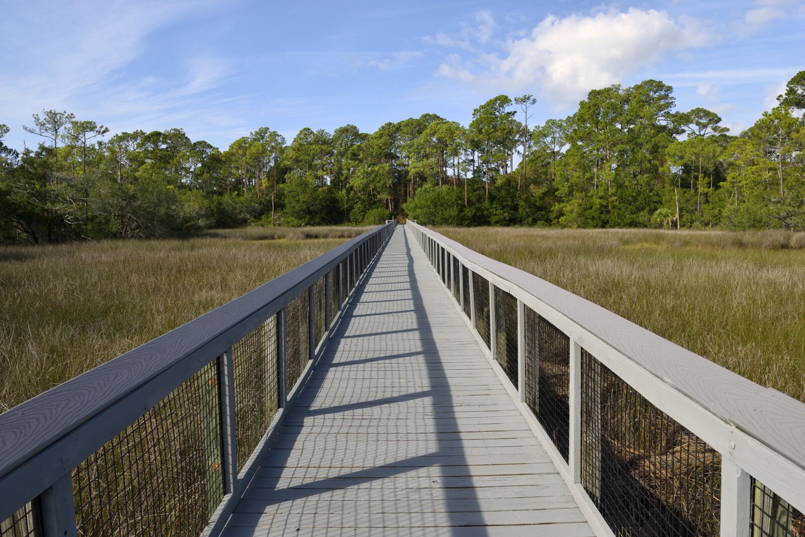 Nikon D3300 sample photo. Board walk, marsh land photography