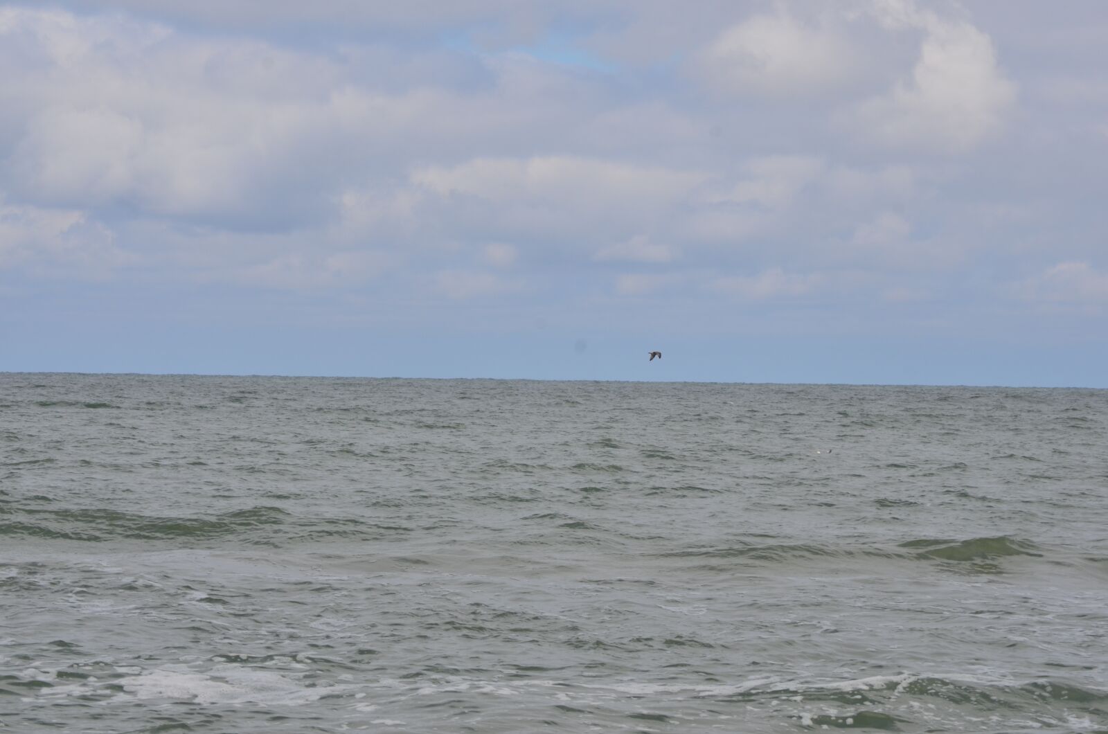 Nikon D7000 sample photo. Sea, nature, beach photography