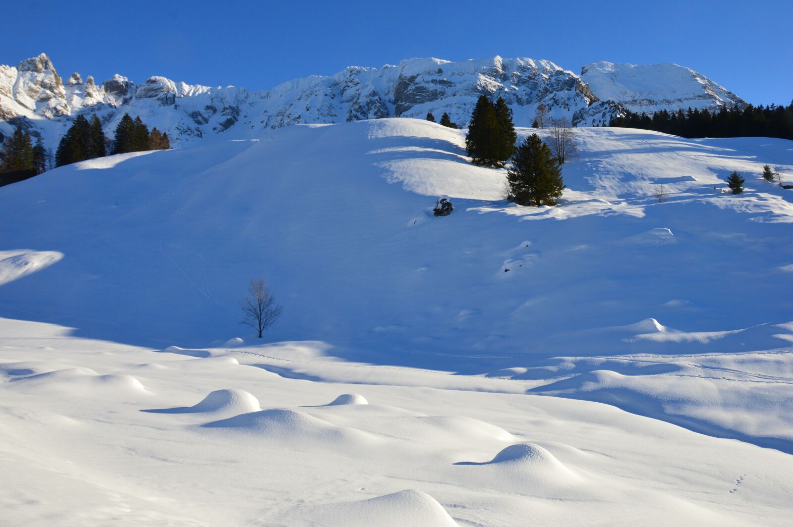 Nikon D3200 sample photo. Winter, snow, cold photography