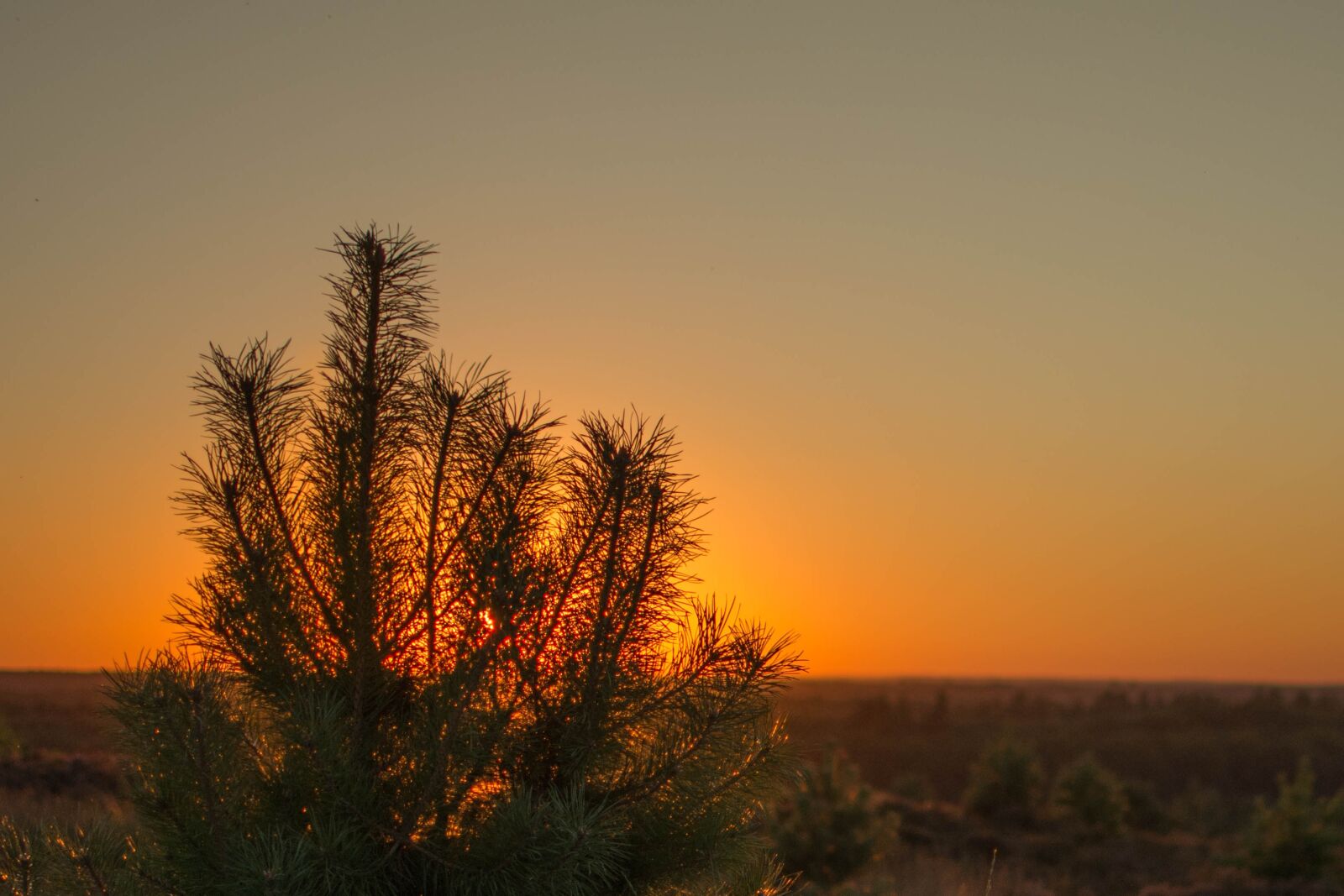 Nikon D7200 sample photo. Sunset, dawn, no person photography