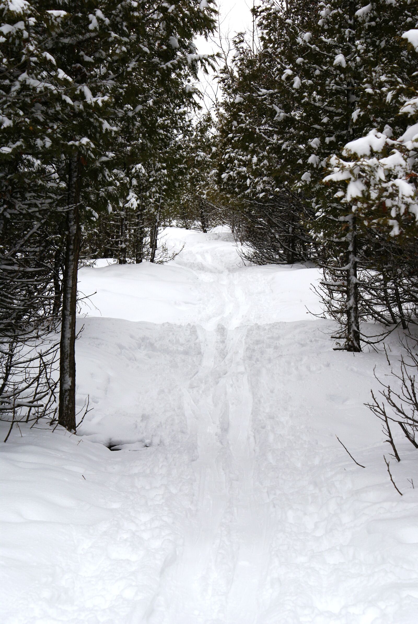 Sony Alpha DSLR-A100 sample photo. Winter, snow, path photography