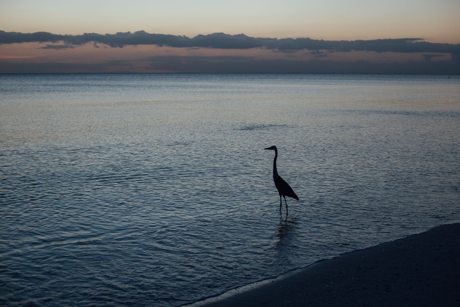 Canon EOS 6D + Canon EF 50mm F1.8 STM sample photo. Sea, ocean, water photography