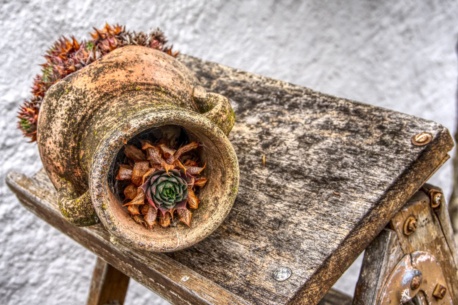 Sony a6000 sample photo. Vase, broken, decoration photography