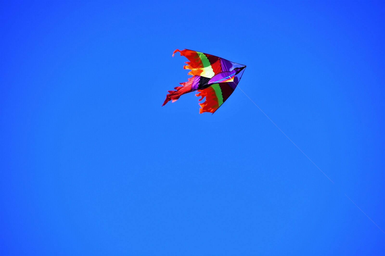 Sony SLT-A58 sample photo. Dragon, flying, kite photography