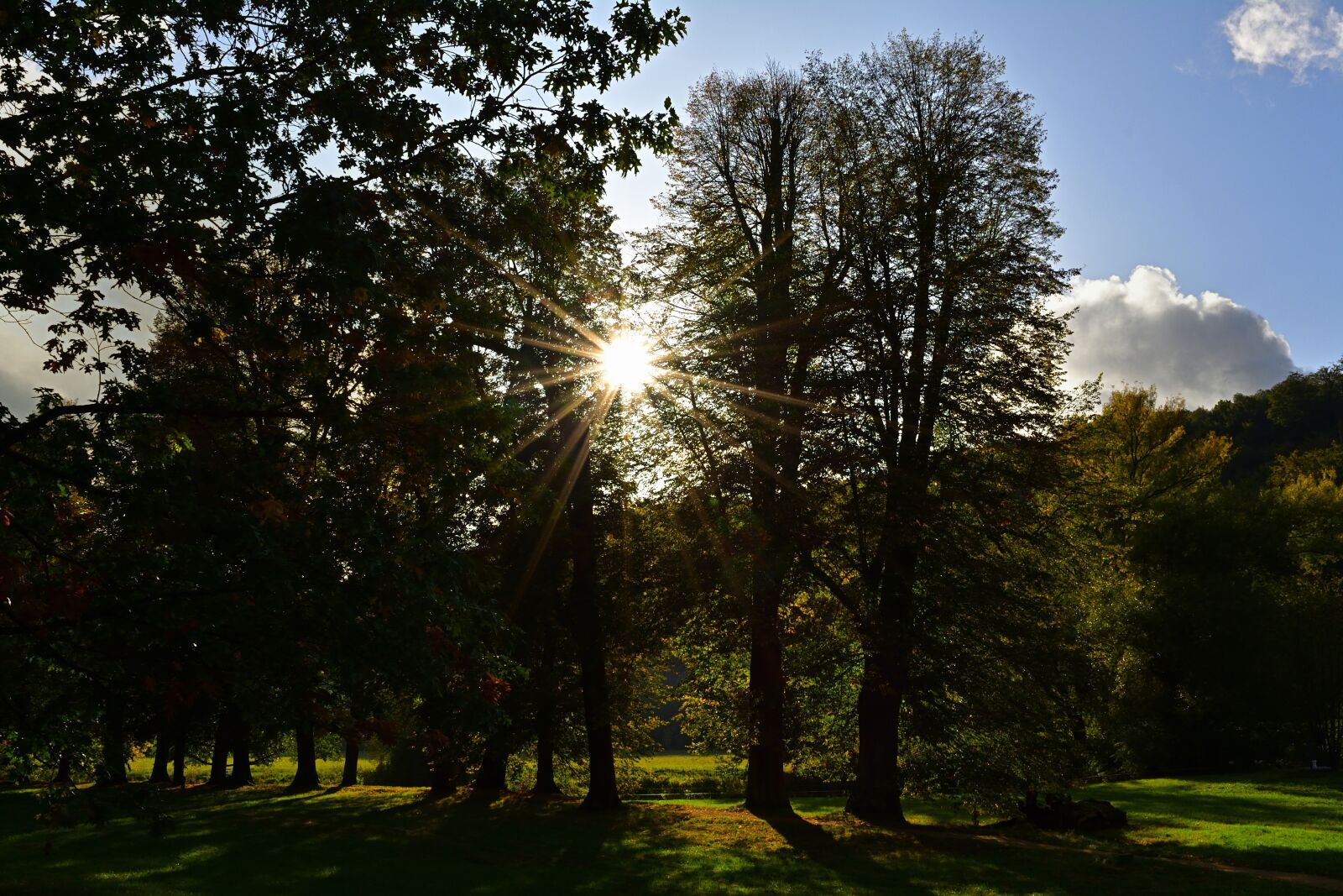 Nikon D5200 sample photo. Park, landscape, sun photography