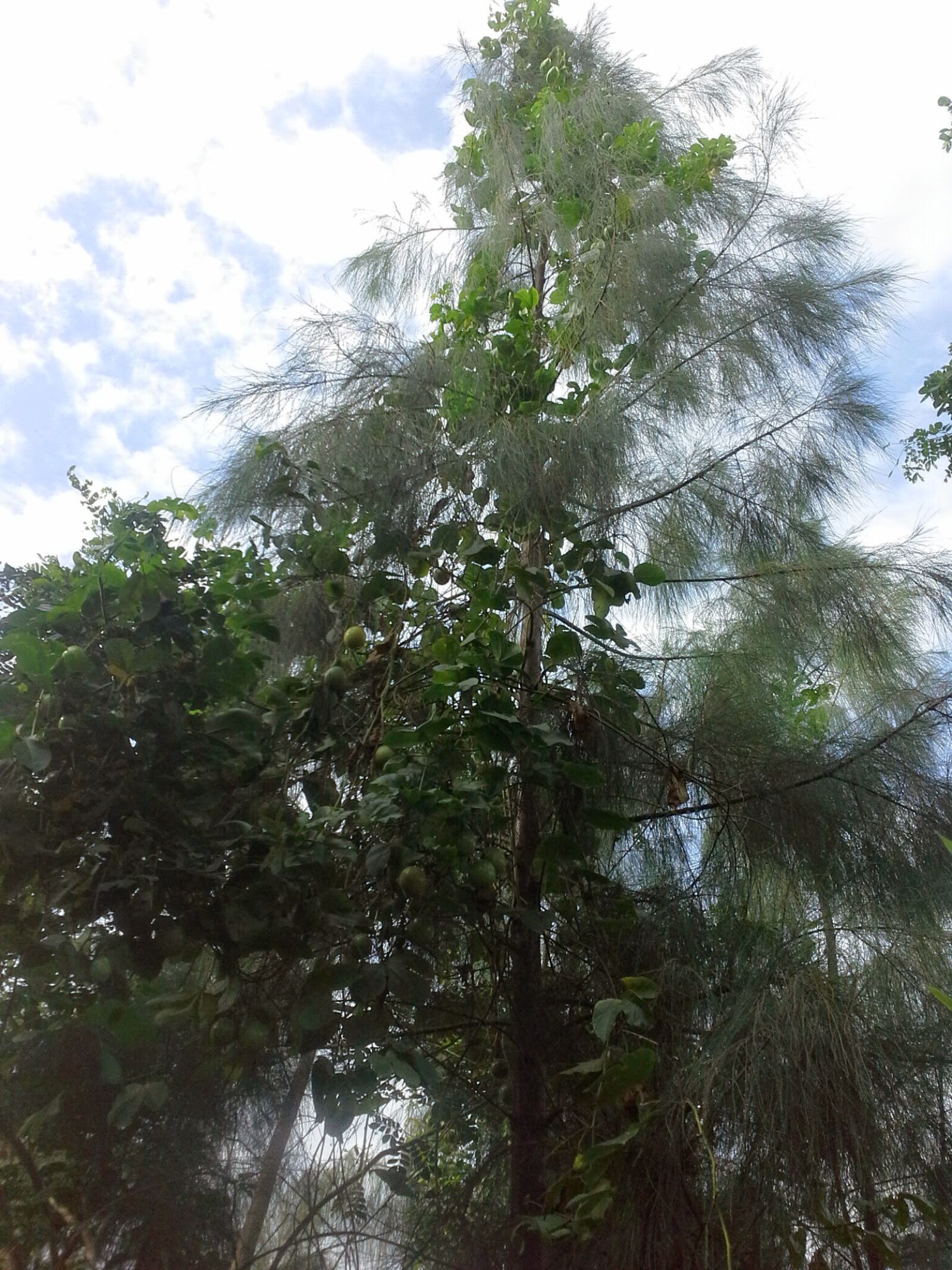Samsung Galaxy Note 10.1 sample photo