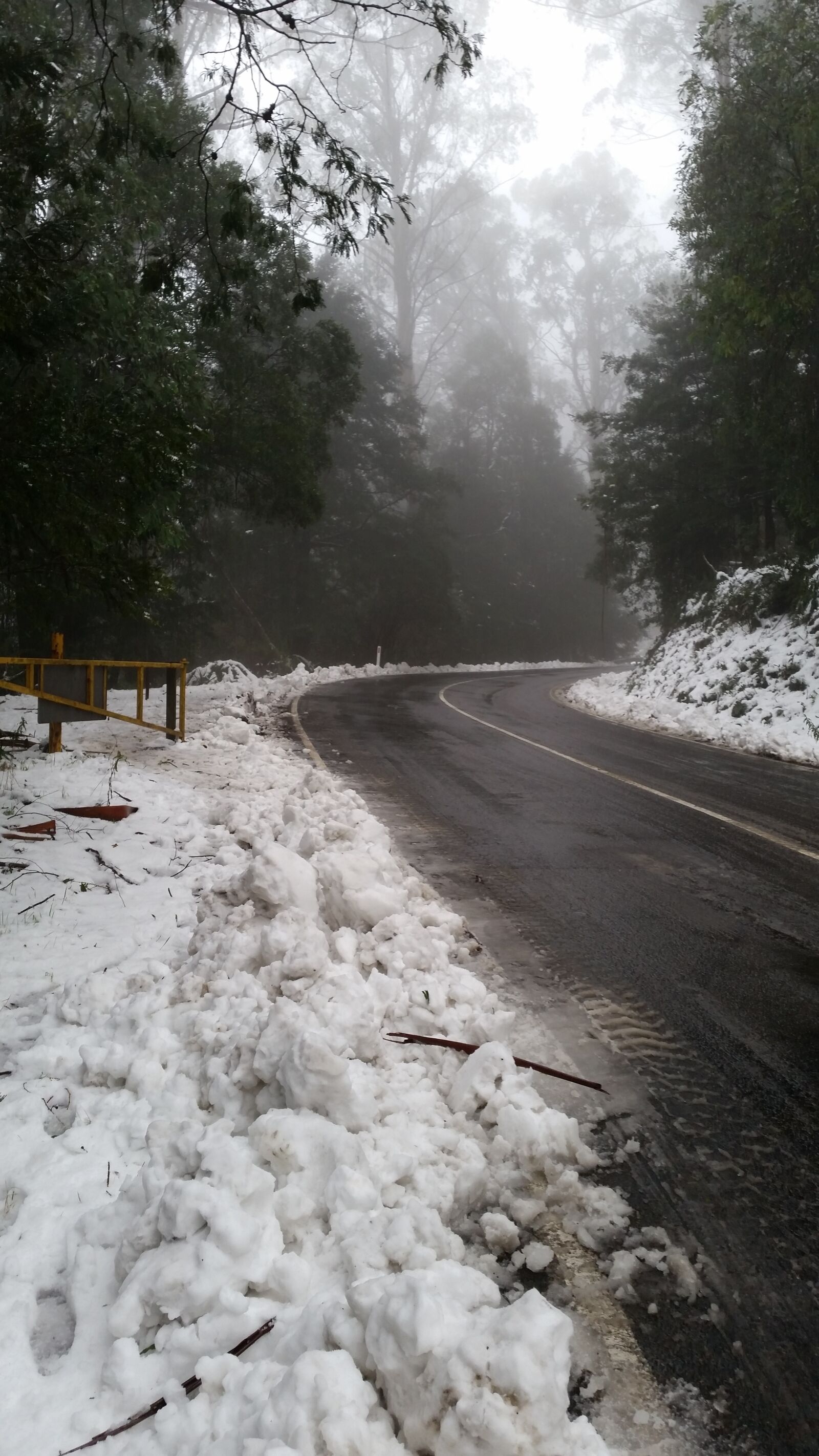 Samsung Galaxy S5 sample photo. Snow, fog, winter photography