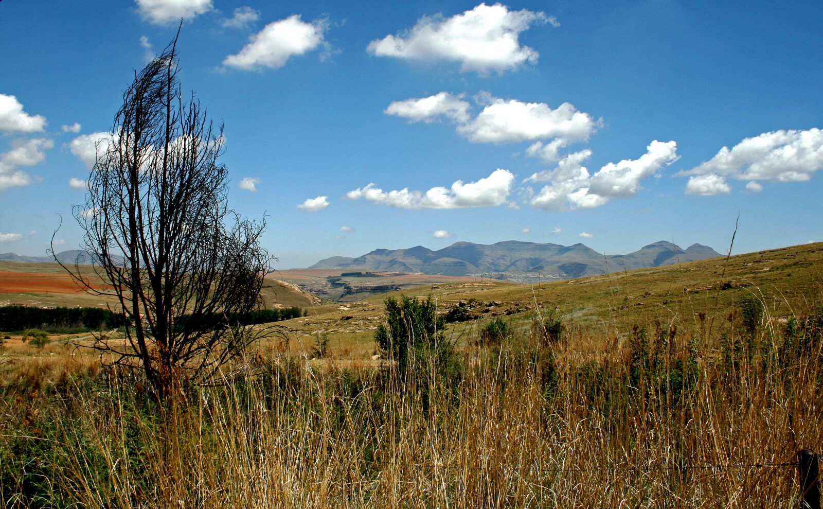 Canon EOS 400D (EOS Digital Rebel XTi / EOS Kiss Digital X) sample photo. Mountain landscape, mountains, fields photography
