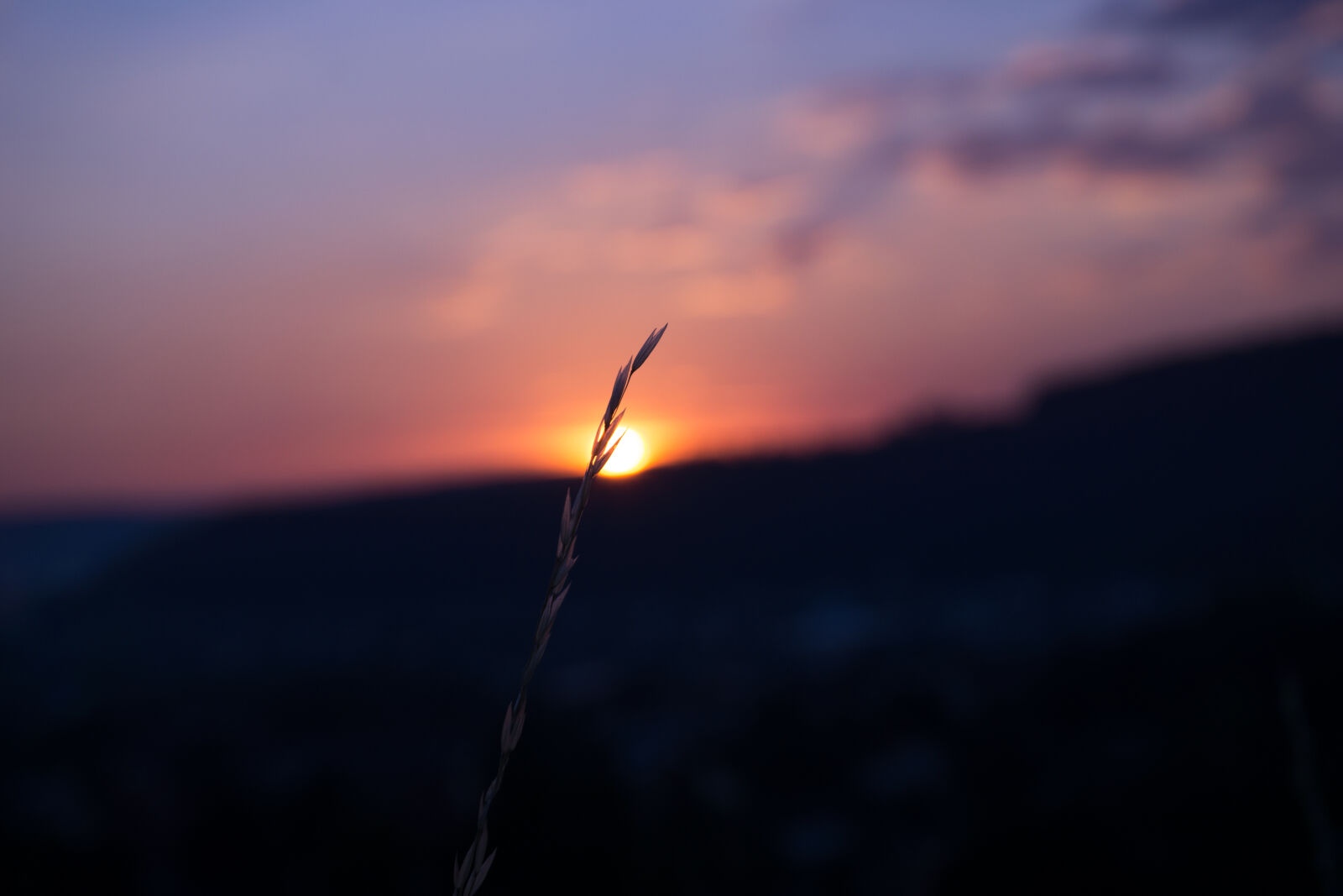 Sony a5100 sample photo